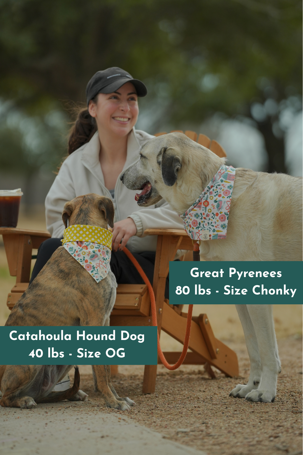 Dog Bandanas Handmade in Austin, Tx (6 x 4 in) (4 x 6 in)-13.png (Copy)