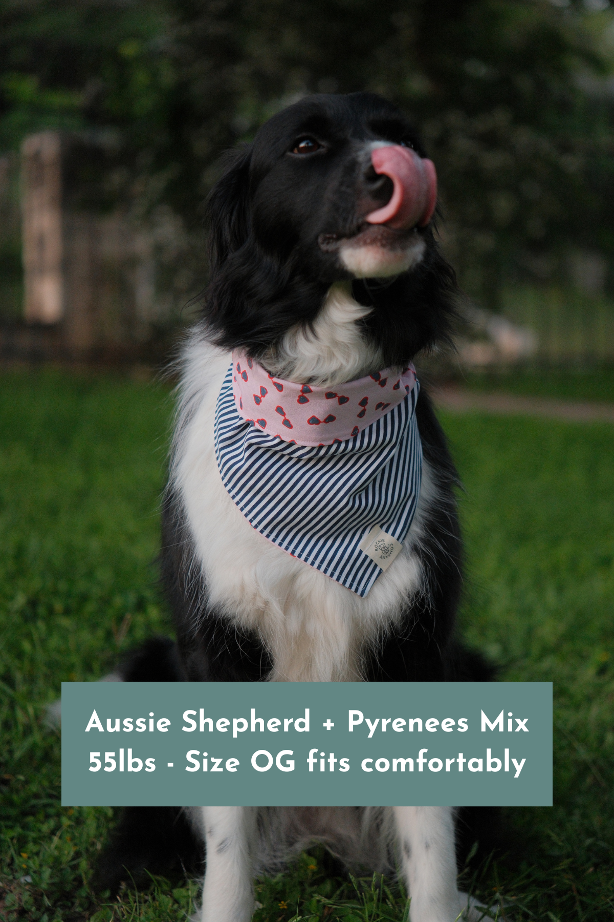 Dog Bandanas Handmade in Austin, Tx (6 x 4 in) (4 x 6 in)-12.png