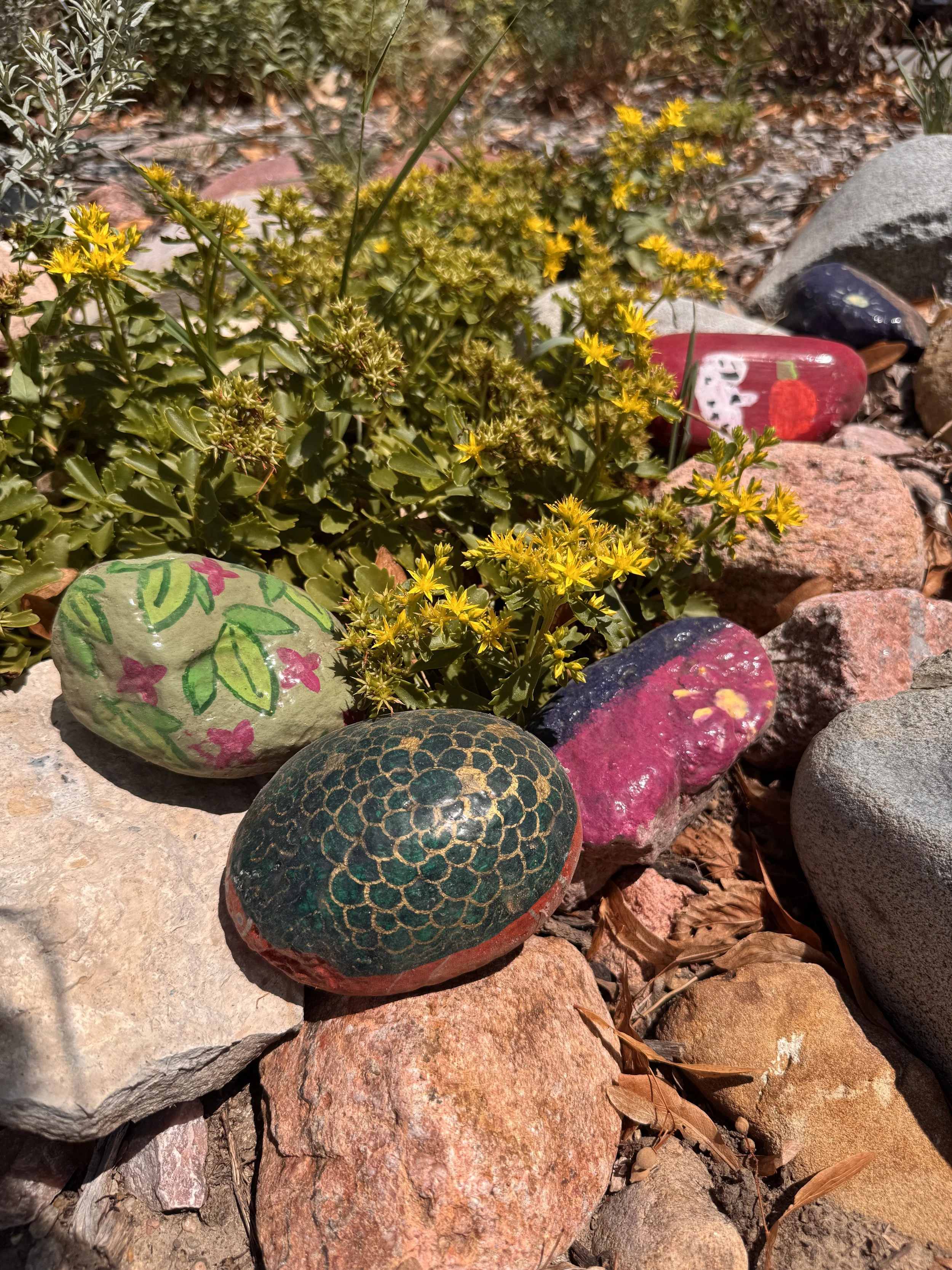 Rock Painting