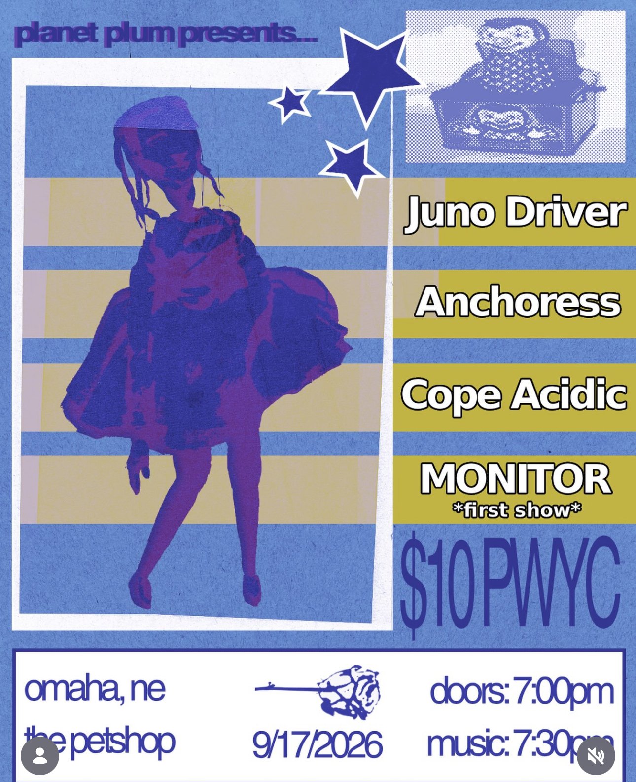 DIY Show presented by Planet Plum