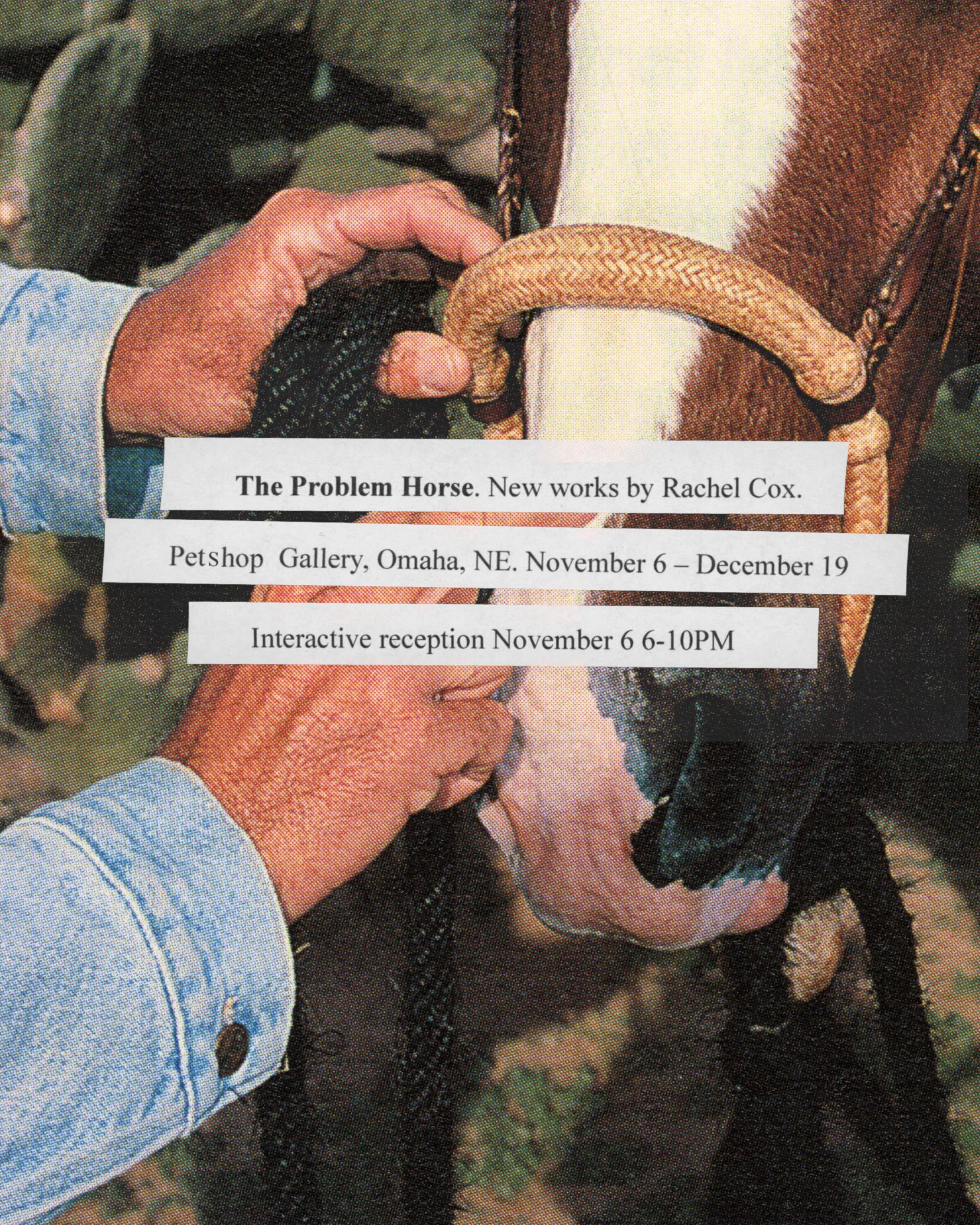 The Problem Horse