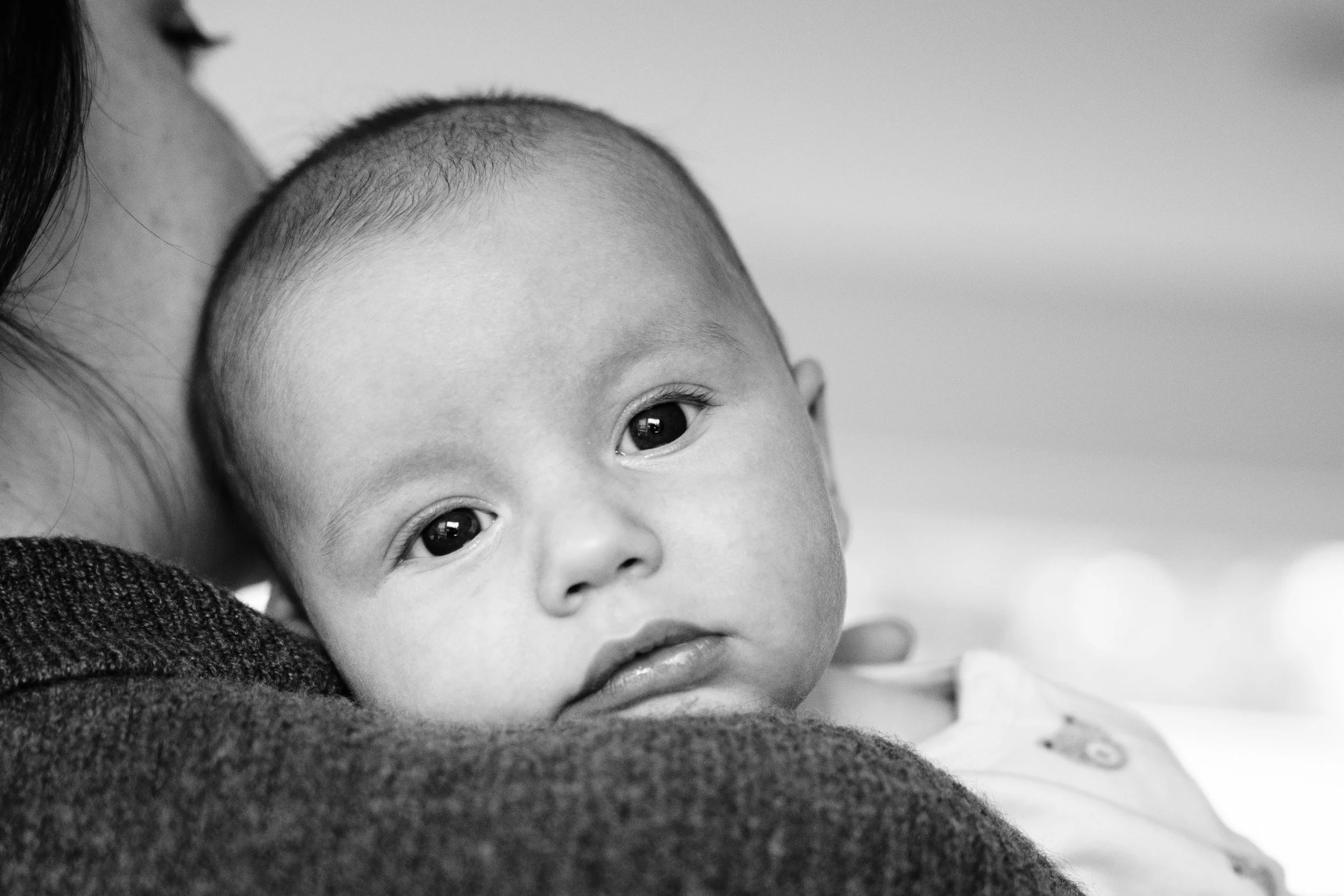 Ezra-0257.jpg