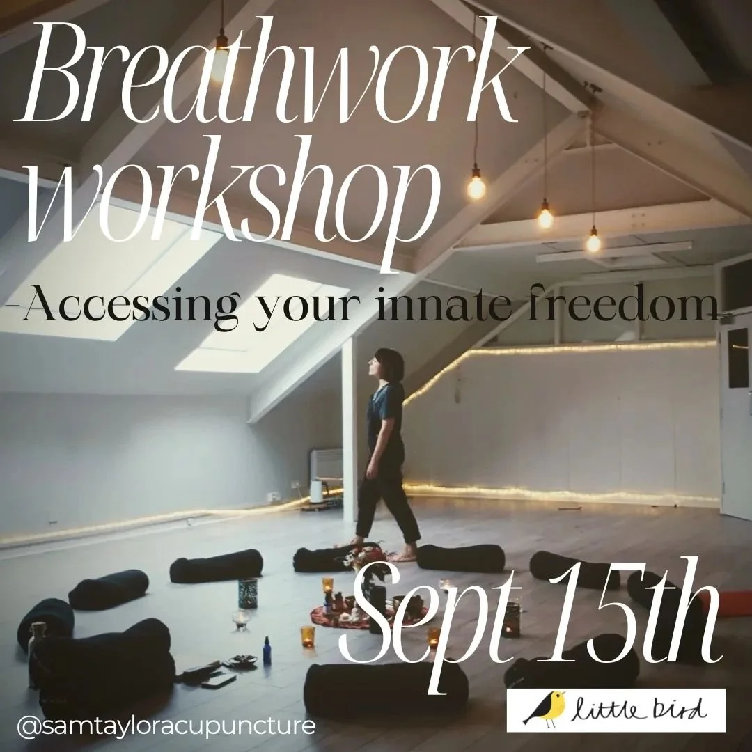 SOLD OUT!!!

S E P T  B R E A T H W O R K 

So excited to be hosting a workshop in my local area and in this very special little spot @littlebirdcoffeeyoga 

Link in bio

Join me in an intimate ceremonial space, to practice this ancient healing modal