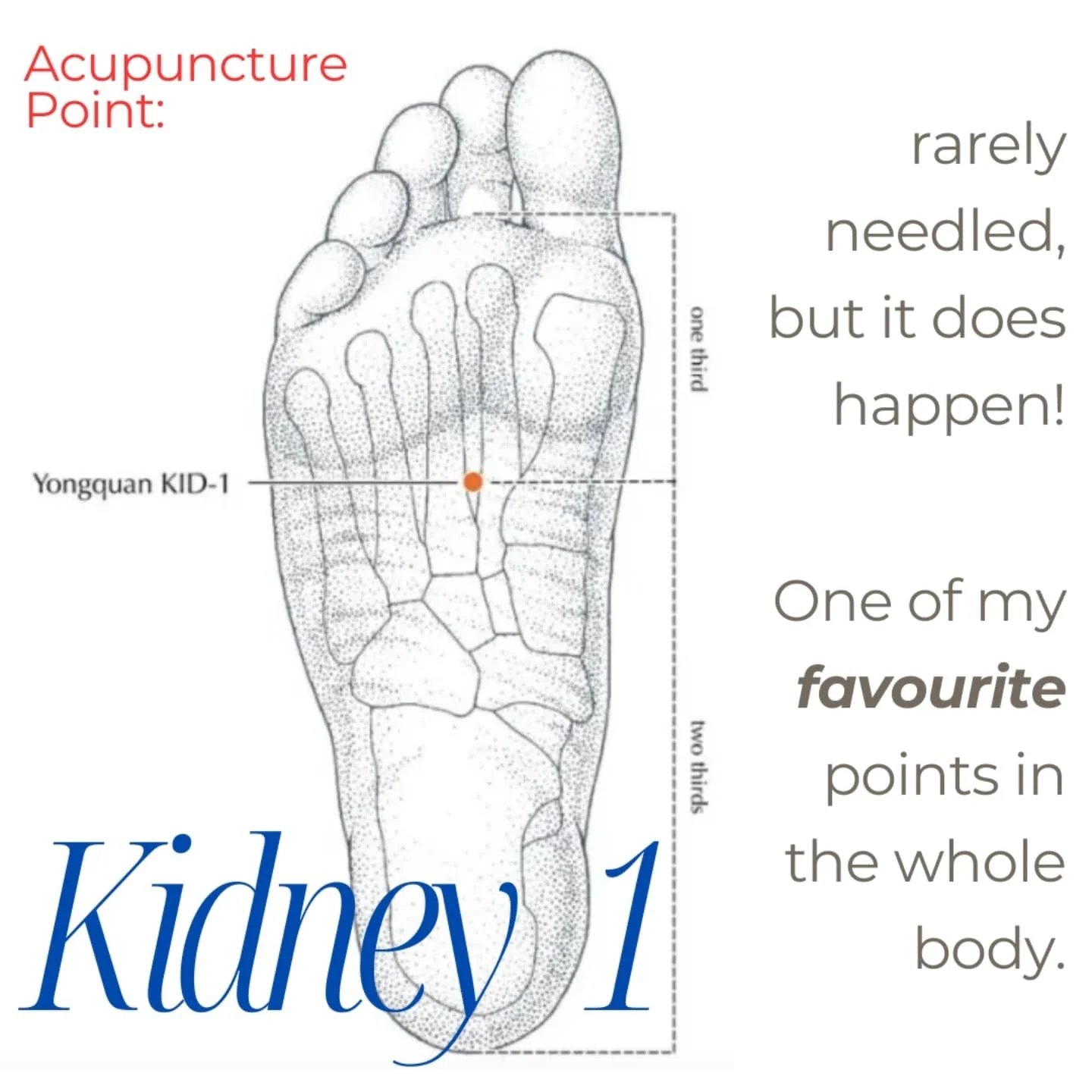 K I D N E Y  1

So many benefits!

Above, is probably my main reason for using this point, using acupressure or studs. 

Rarely needled so don't worry!

Not sure many get past me without having this point activated 🤔🤫

#acupuncture #chinesemedicine