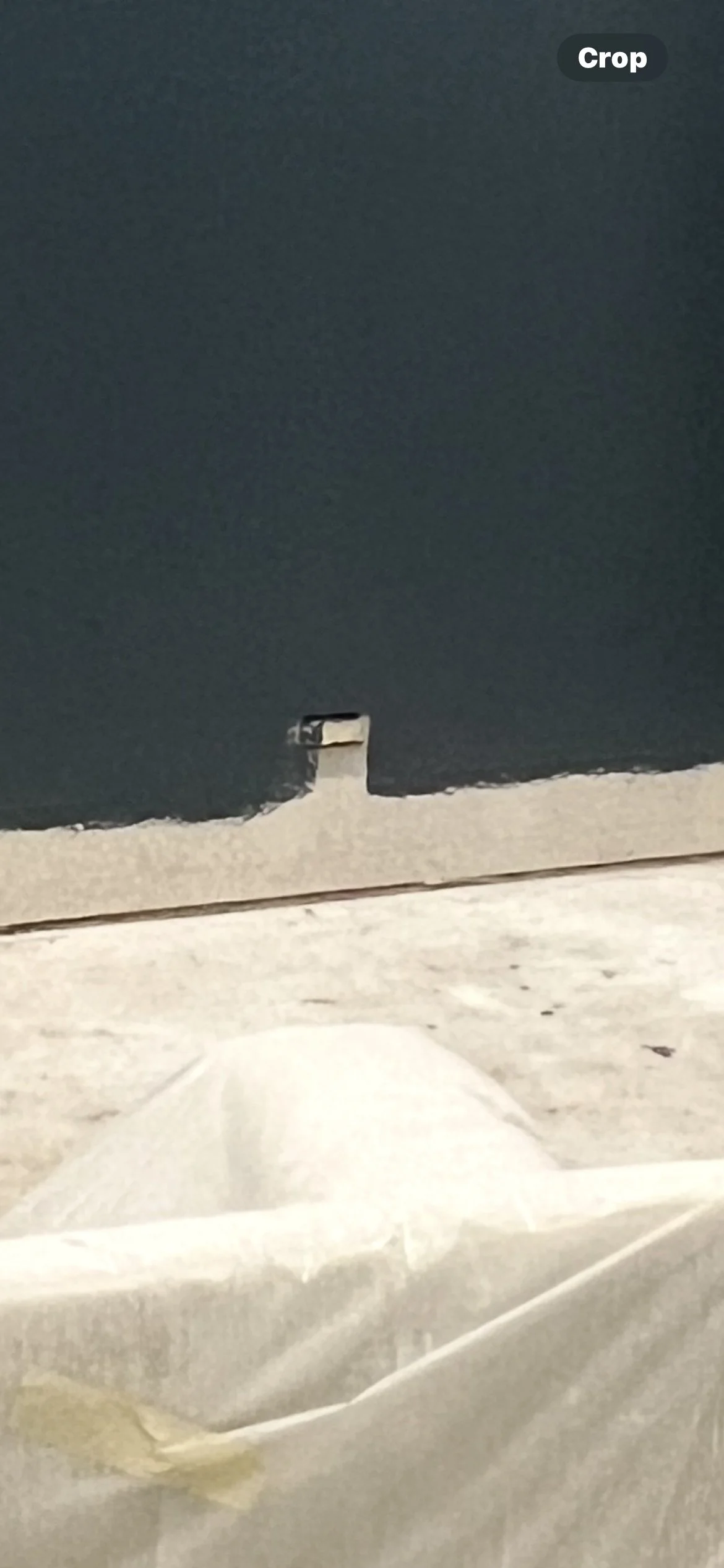 IMG_1695.jpeg