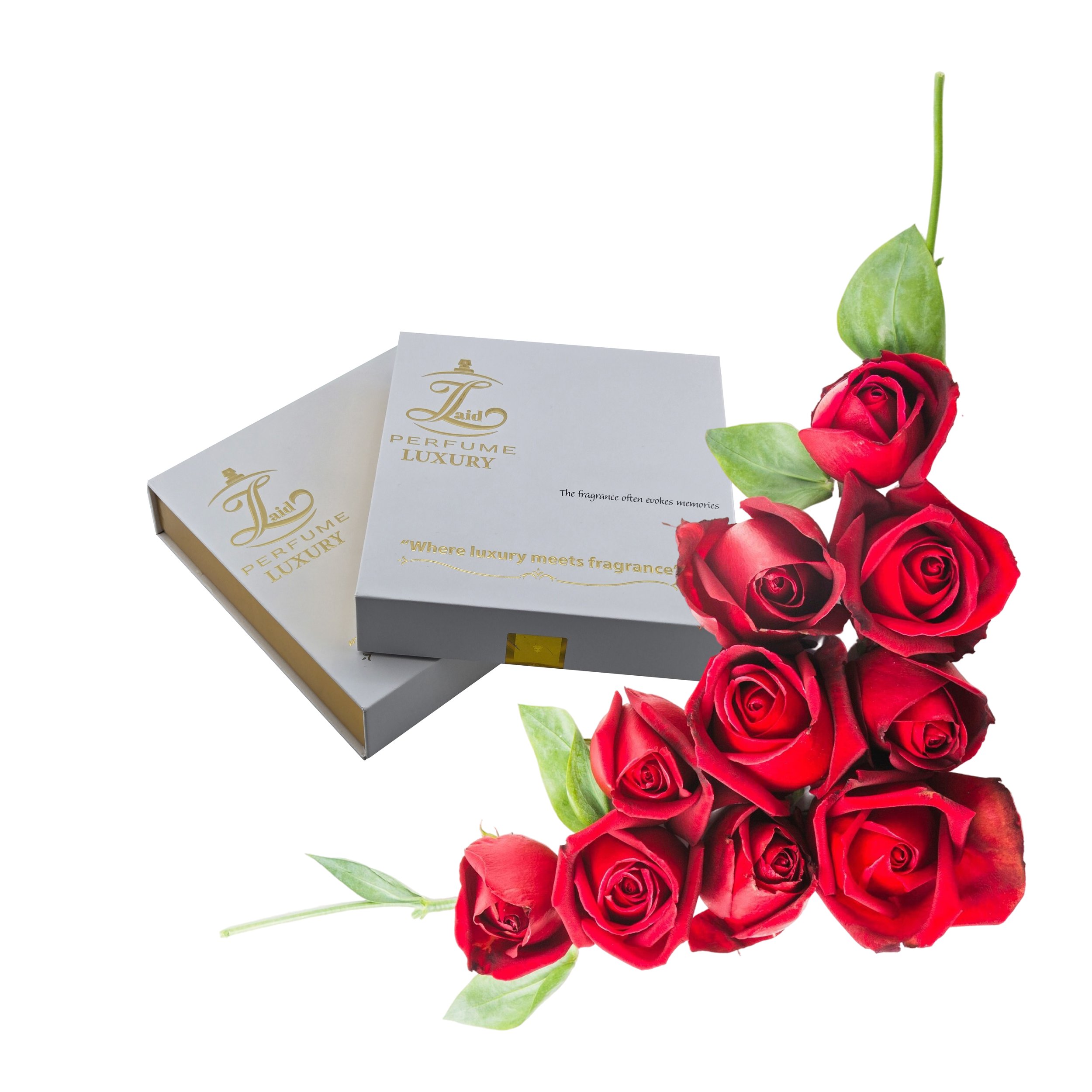 5pcs cover-01-01.jpg