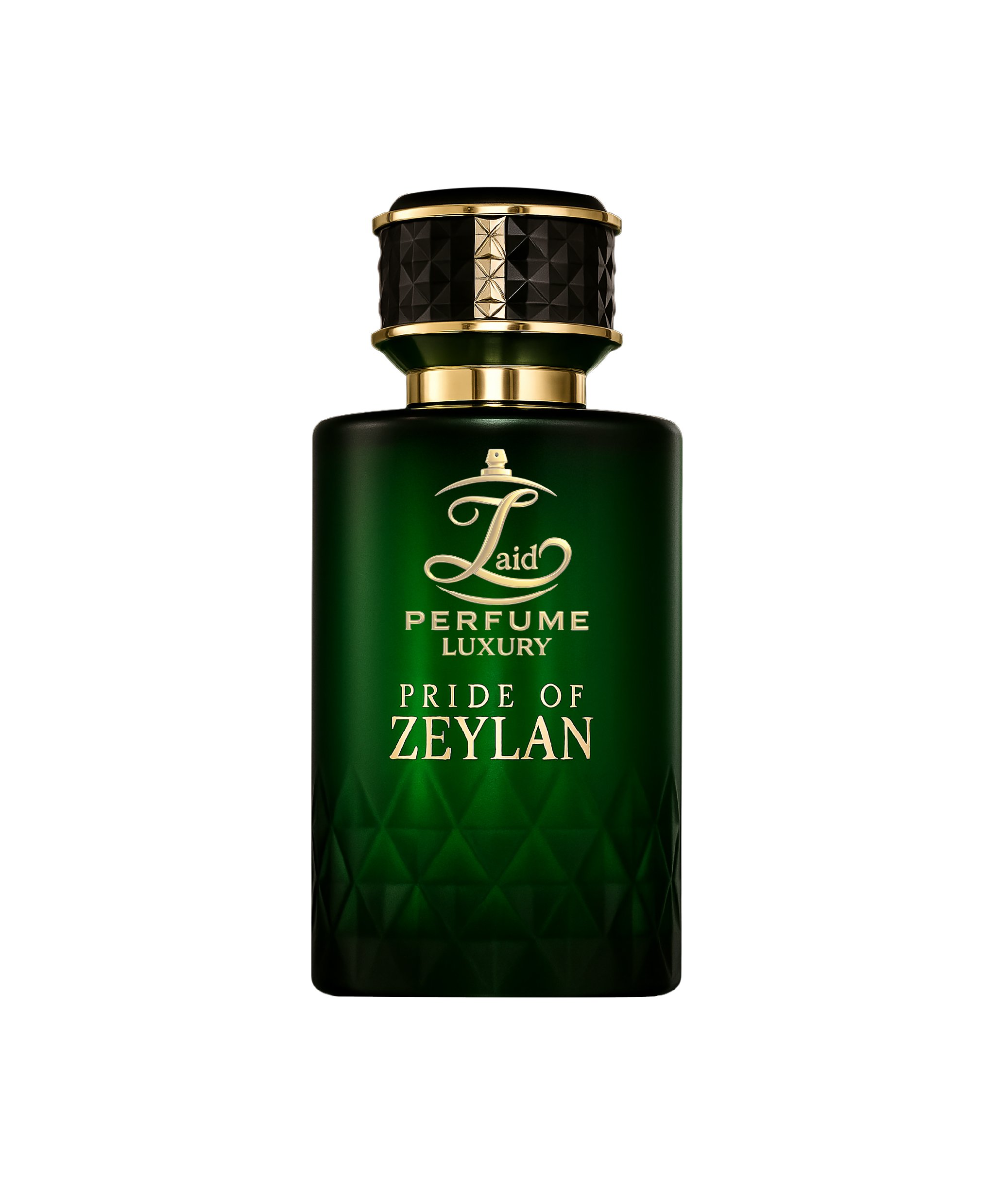 web-inner_zaylan-01.jpg