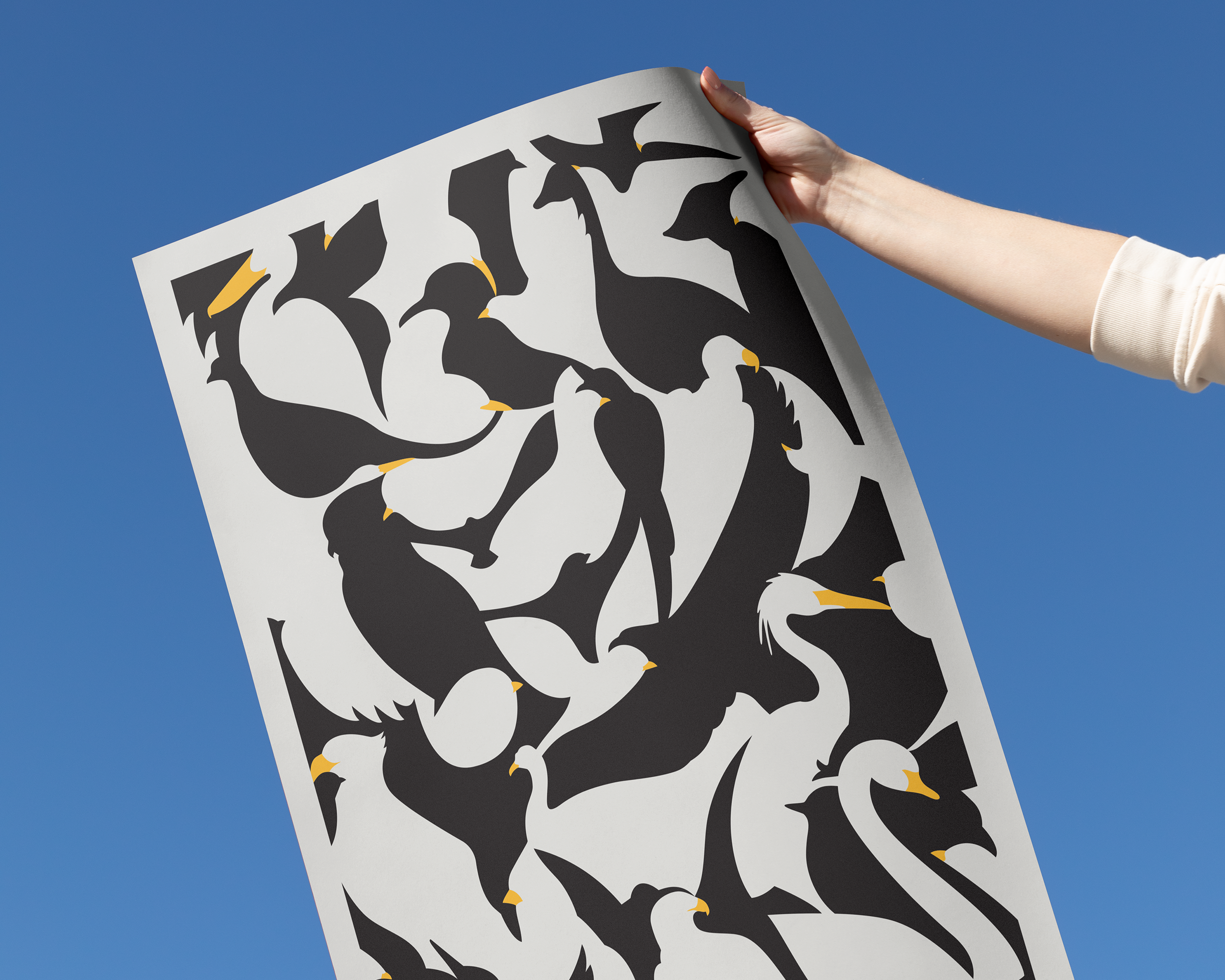 Flight Pattern