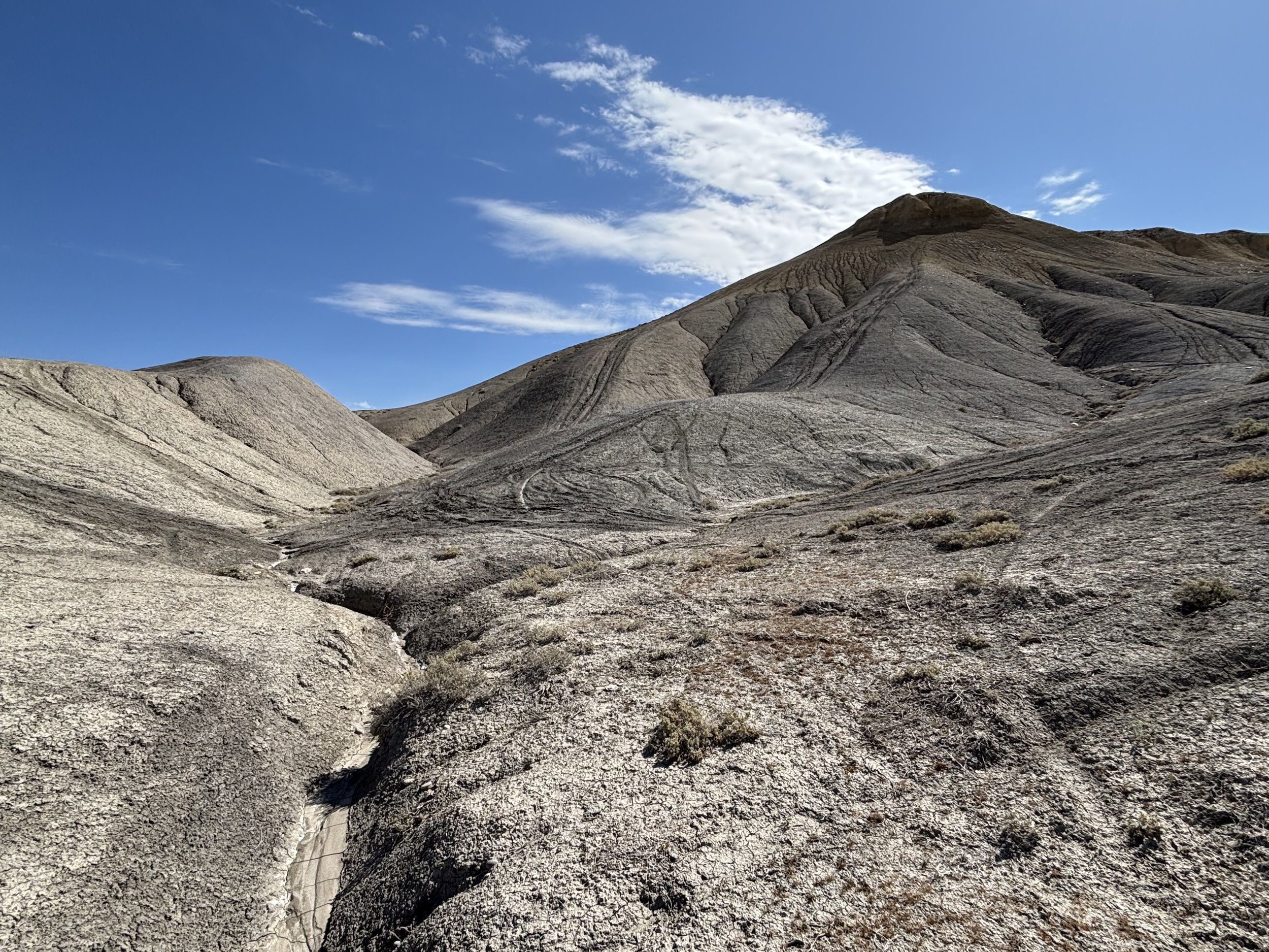 tracks on land IMG_2381.jpg