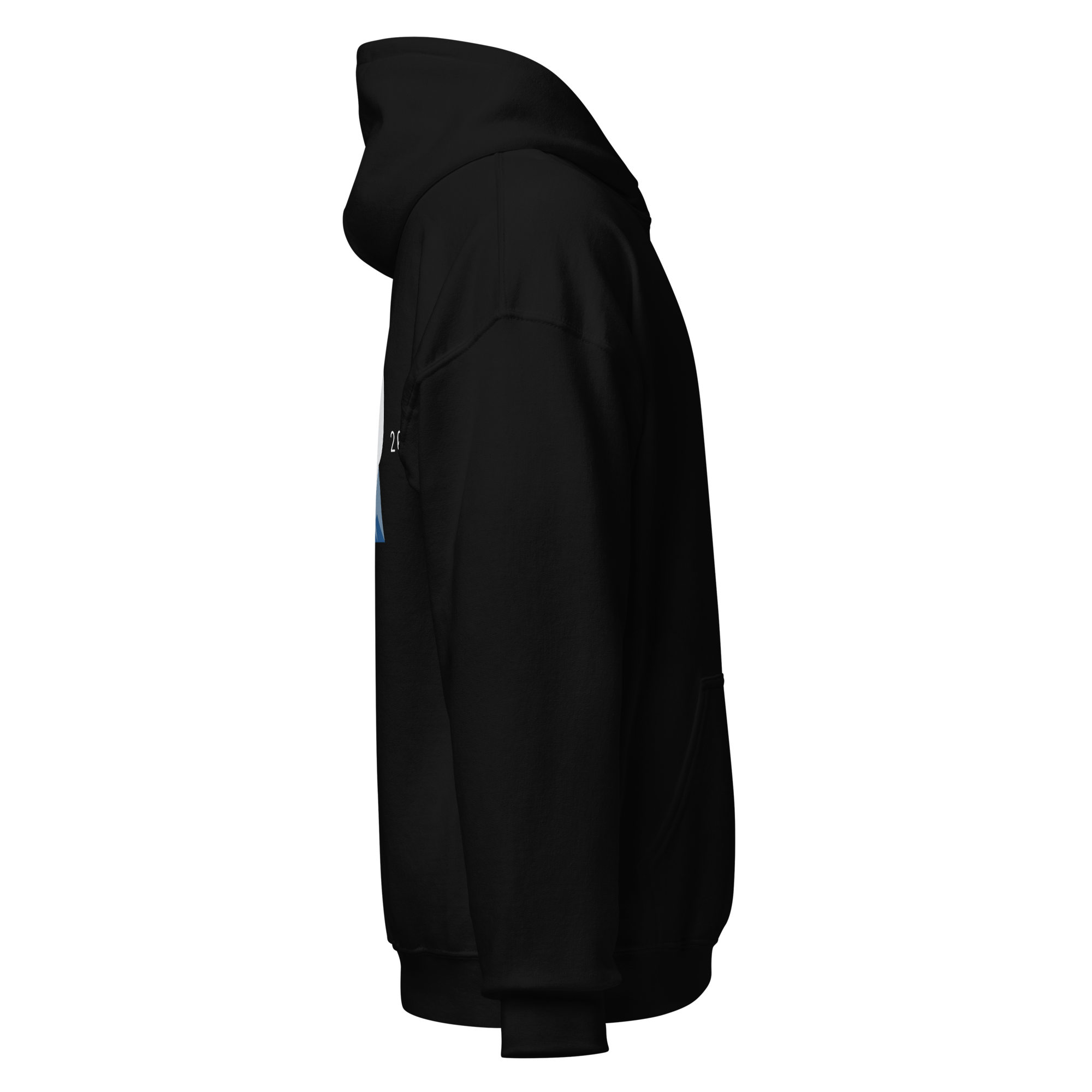 unisex-heavy-blend-hoodie-black-right-69396ff34f9f4.png