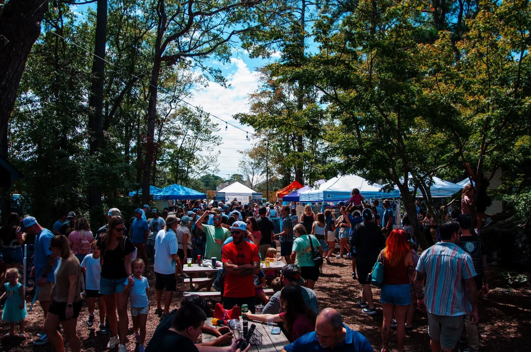Fall Fest Under the Oaks