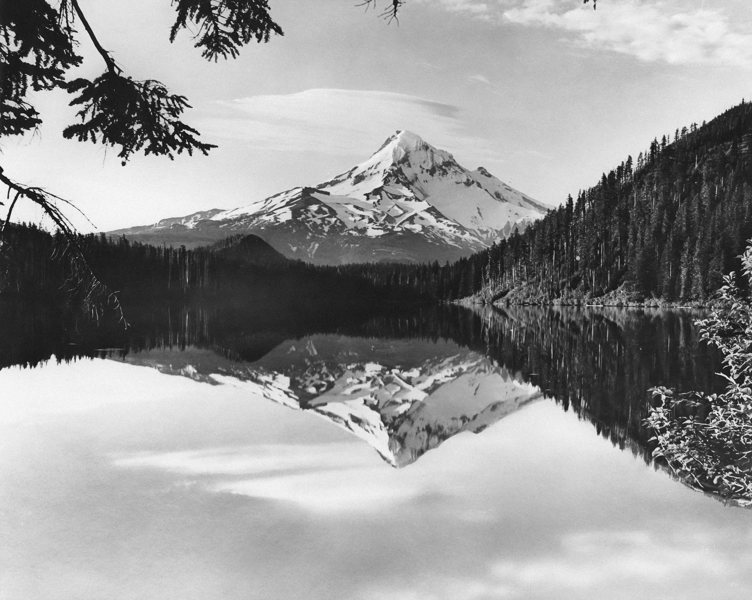 Would You Set $5 Million on Fire and Call it Strategy?