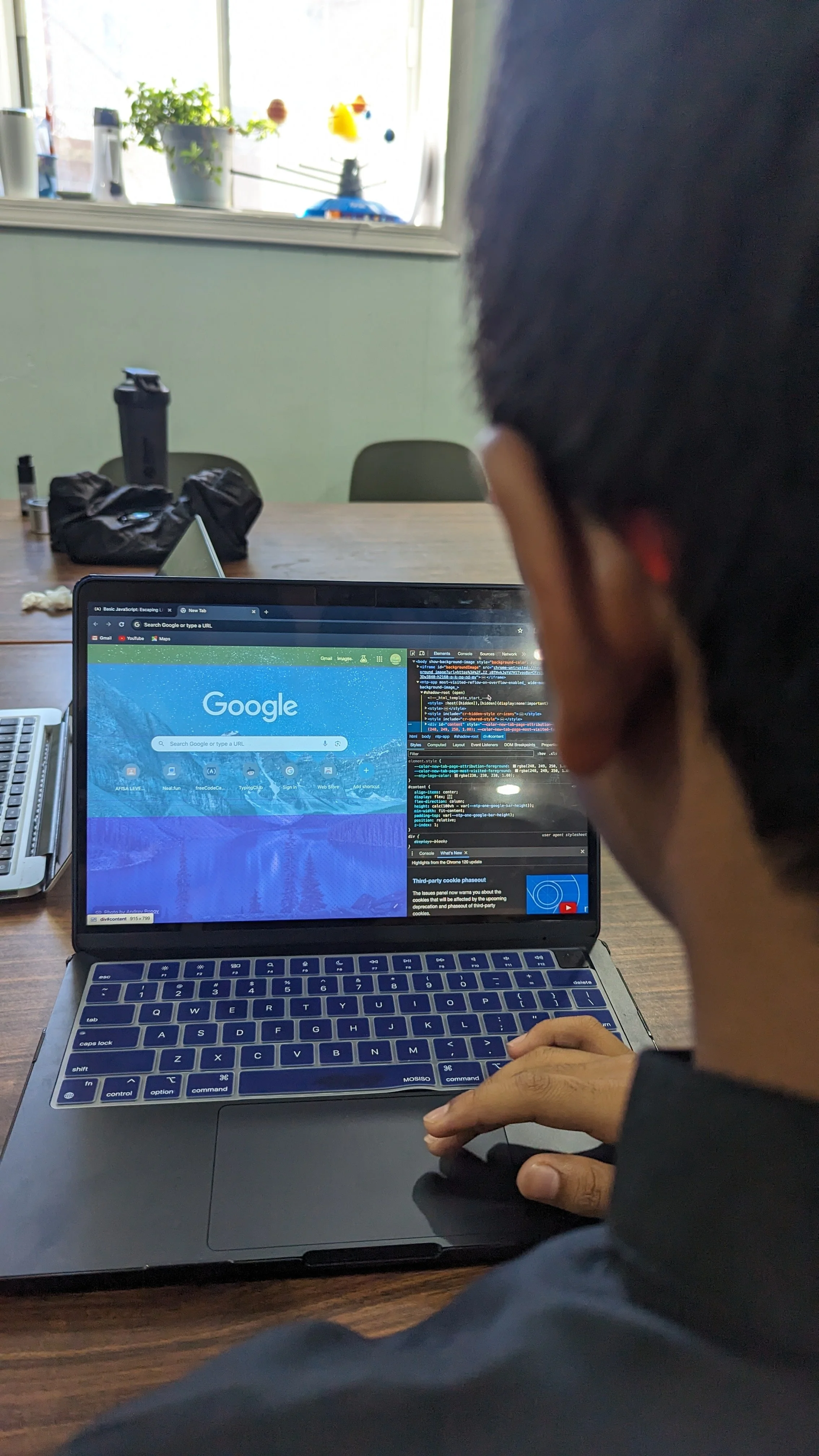 Person using a laptop at a table, with a window behind showing plants and decorative items.