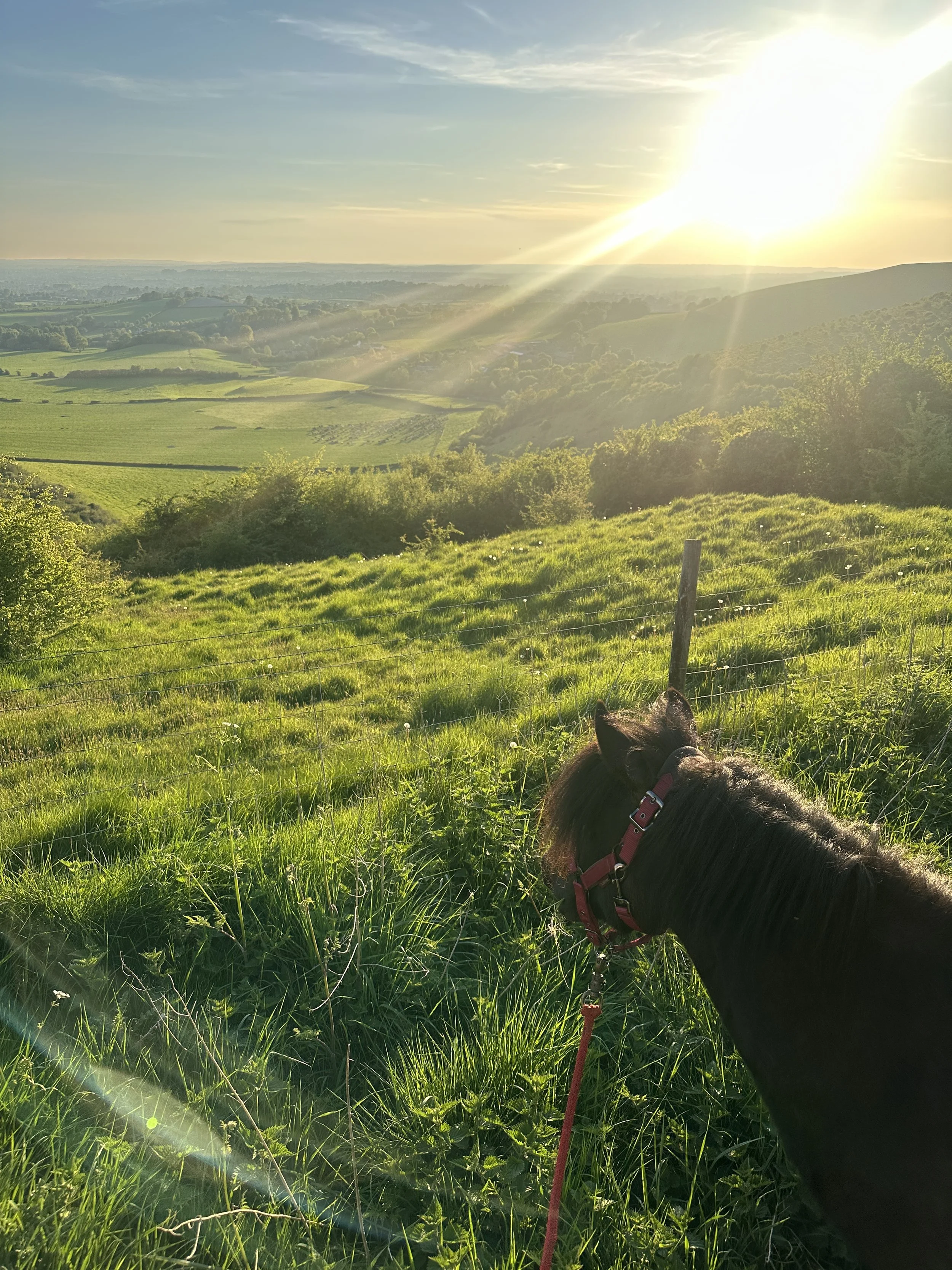 Walking holiday Dorset