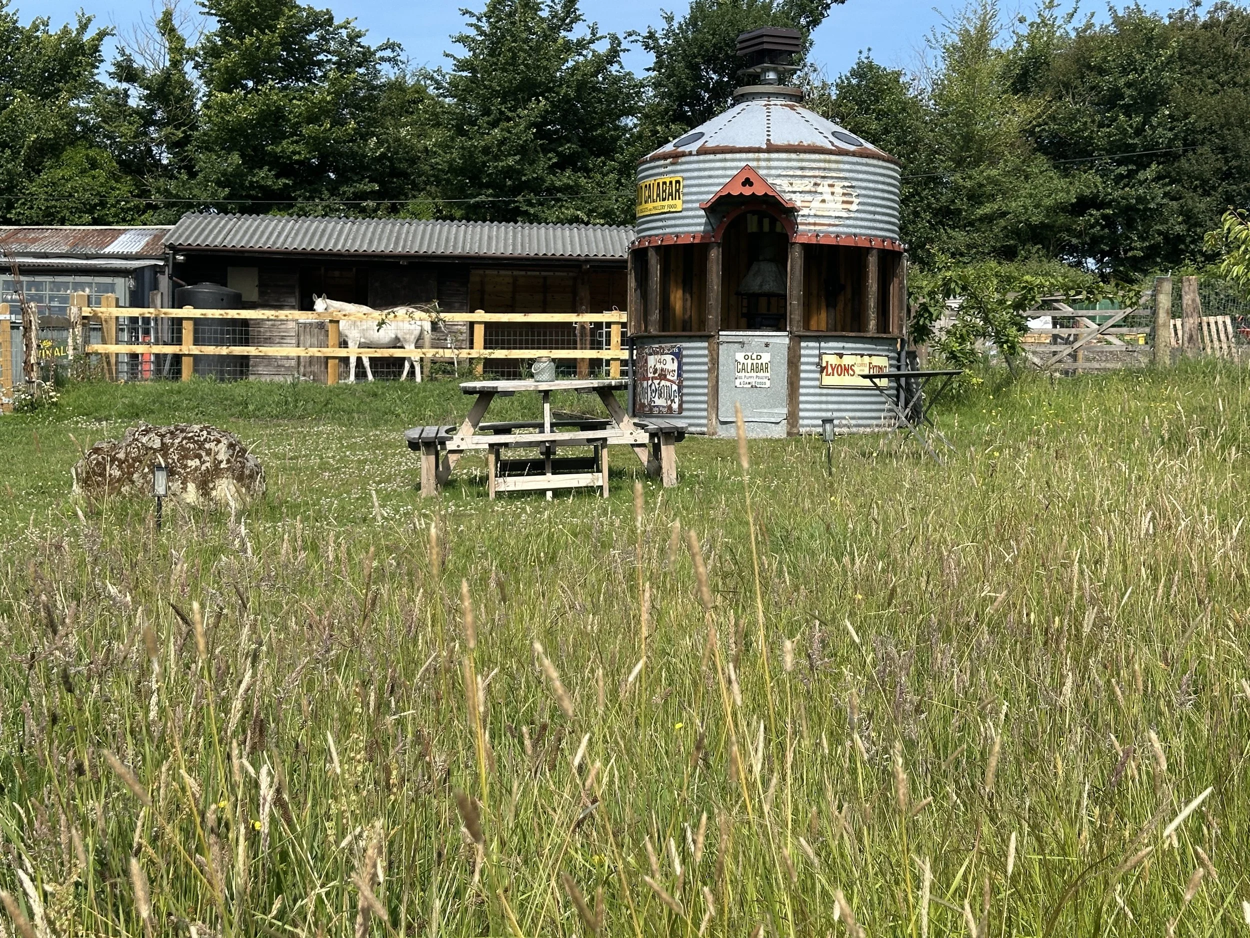 A grassy field with a rustic water tower in the background, a picnic table, and a donkey behind a wooden fence.
