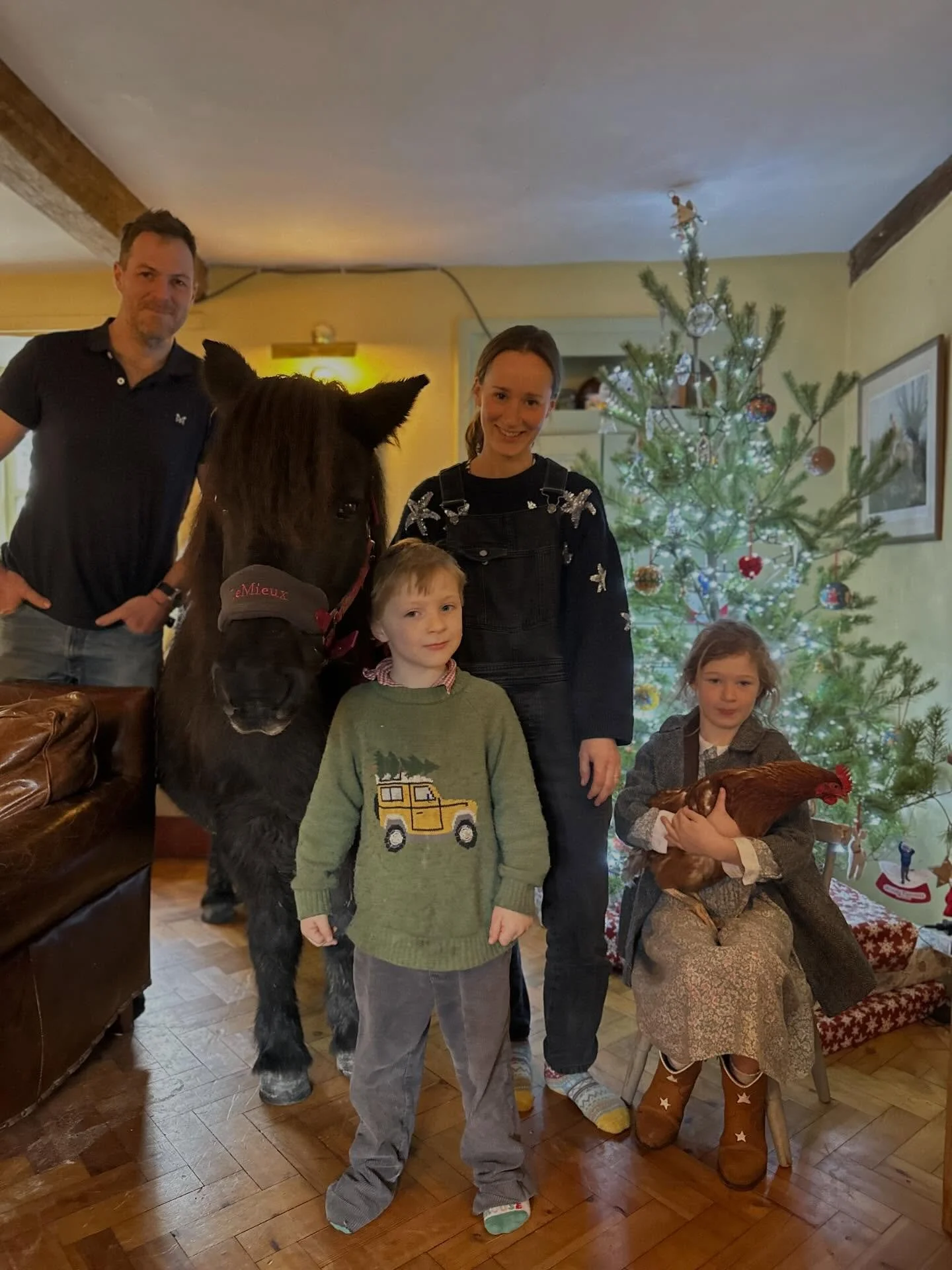 🎄✨ Merry Christmas from The Old Forge! ✨🎄
Wishing you all a wonderful Christmas from our little corner of the Dorset countryside!
From our family to yours - Sophie, Alex, Iris, Woody, Lily, Theo, Shorty, Bonnie, Chickalinda and all the gang 🐴🐶🐔
