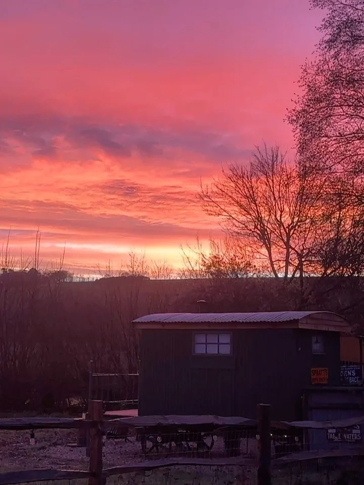 Wake up to sunrises like this &mdash; just you, the rolling hills, and your &lsquo;neigh&rsquo;bours Lily, Theo, Shorty, and our flock of free-roaming chickens. No other guests. No distractions. Just the kind of peace that makes you forget what day i