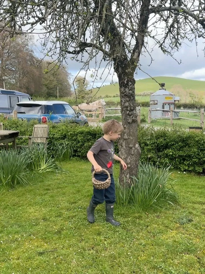 Happy Easter from our little flock 🐣🌼

Fresh eggs, happy hens, and a whole lot of springtime joy. Every egg is different &mdash; small, large, and the occasional double &mdash; each one as unique as the girls who lay them.

There&rsquo;s nothing qu