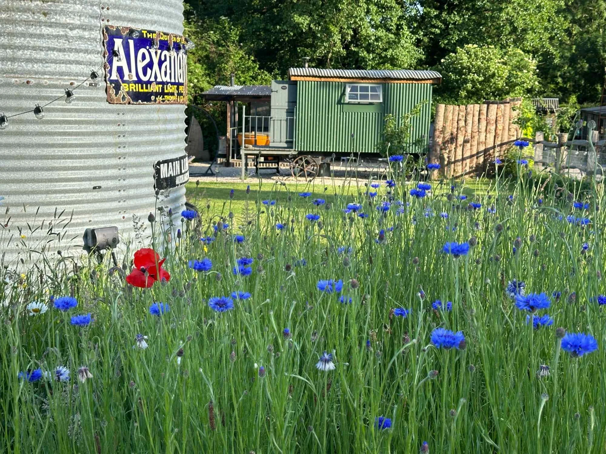 Dog friendly shepherd’s hut in Dorset