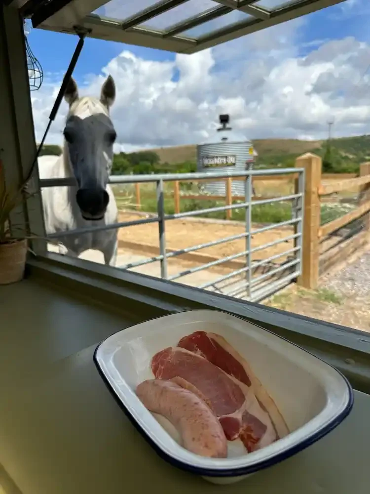 Secluded glamping retreat Dorset