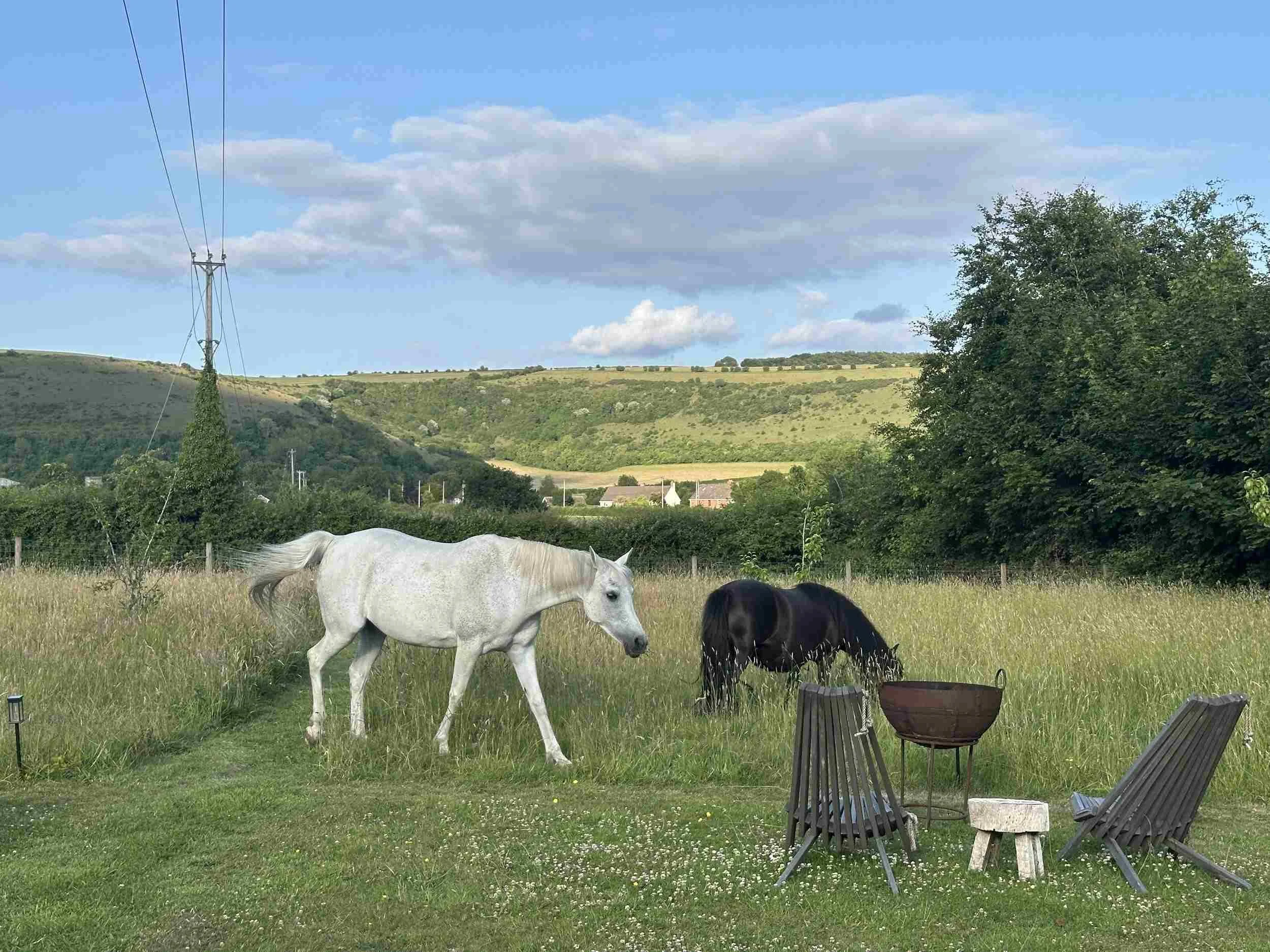 Fontmell Down nature lovers walking holiday