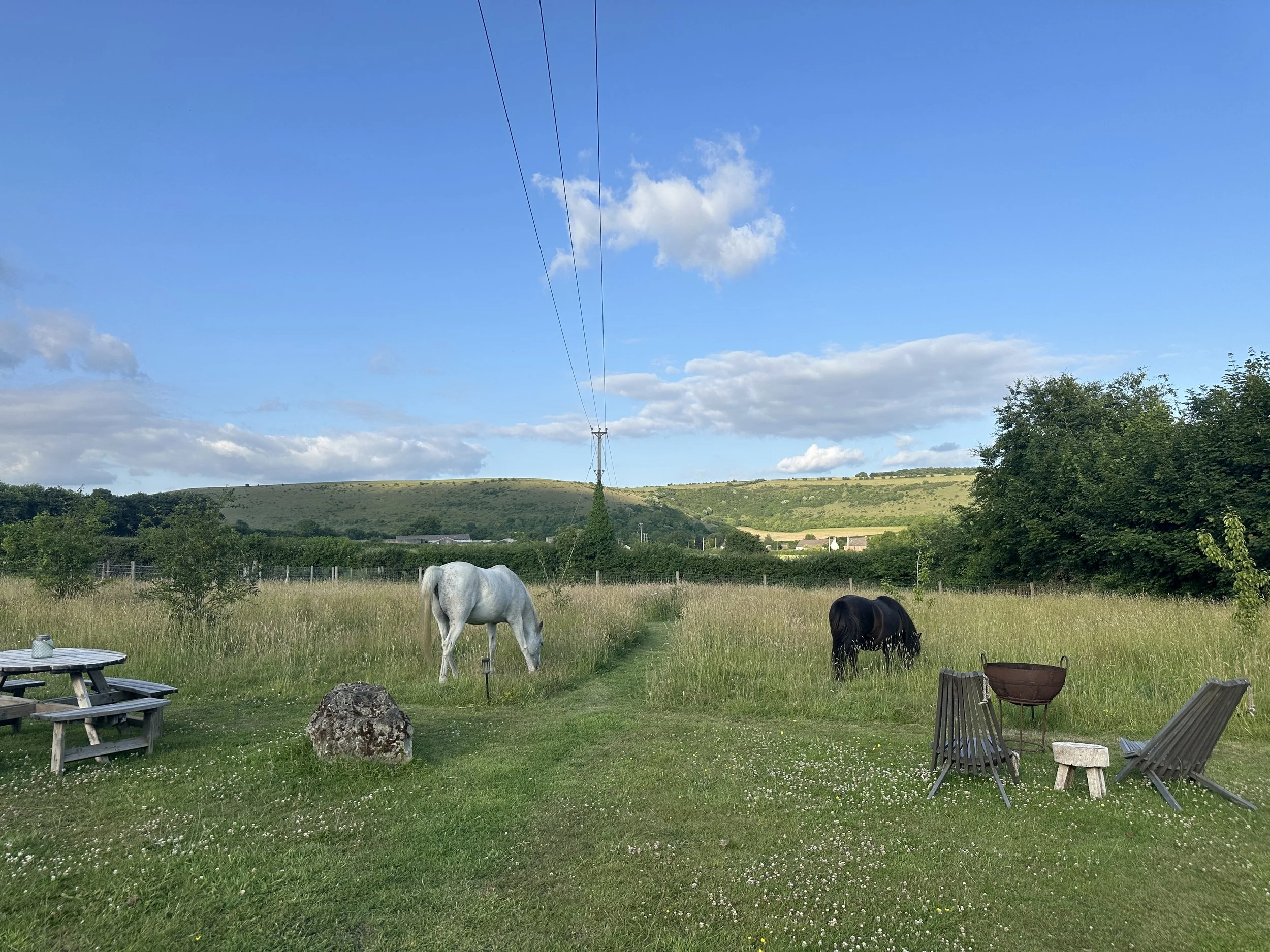 Two horses grazing in a grassy field with outdoor furniture and a landscape of green hills under a blue sky with clouds.