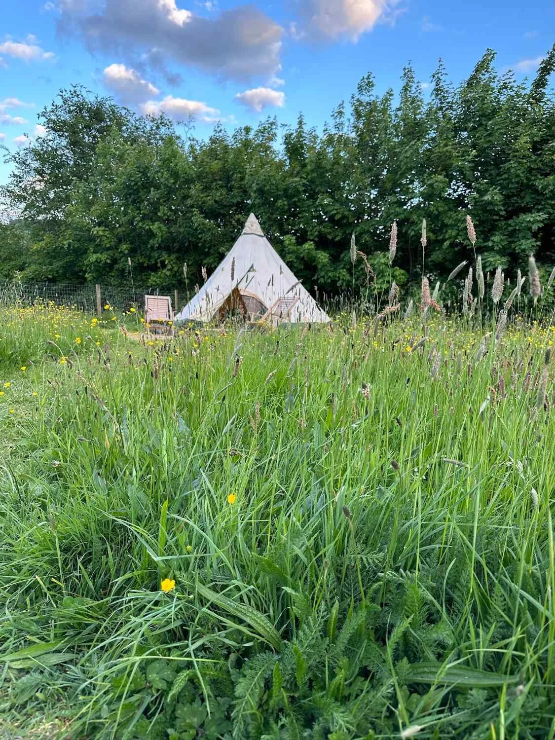 Pitch a tent glamping family friendly 