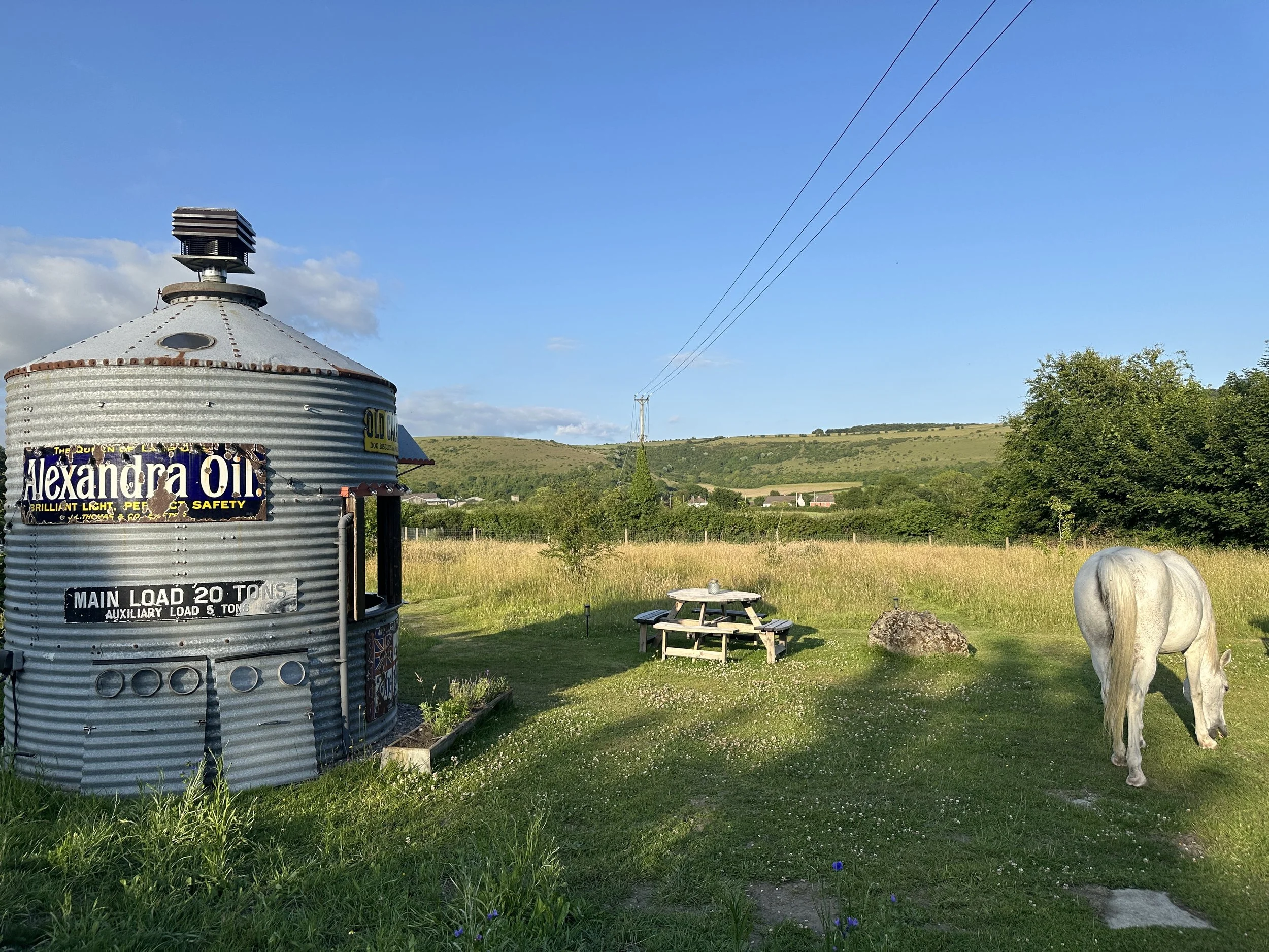 A white horse grazing on grass in a rural field with a galvanized steel water tank labeled "Alexandra Oil" nearby. There is a picnic table, large rocks, trees, and rolling hills in the background under a blue sky.