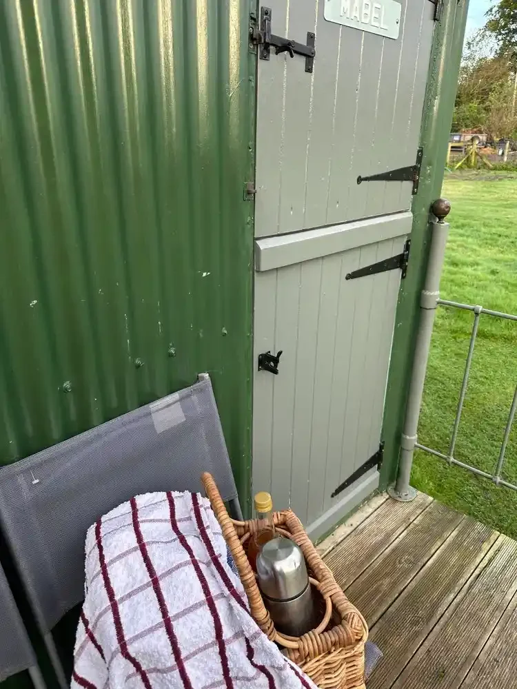 Local organic breakfast home cooked