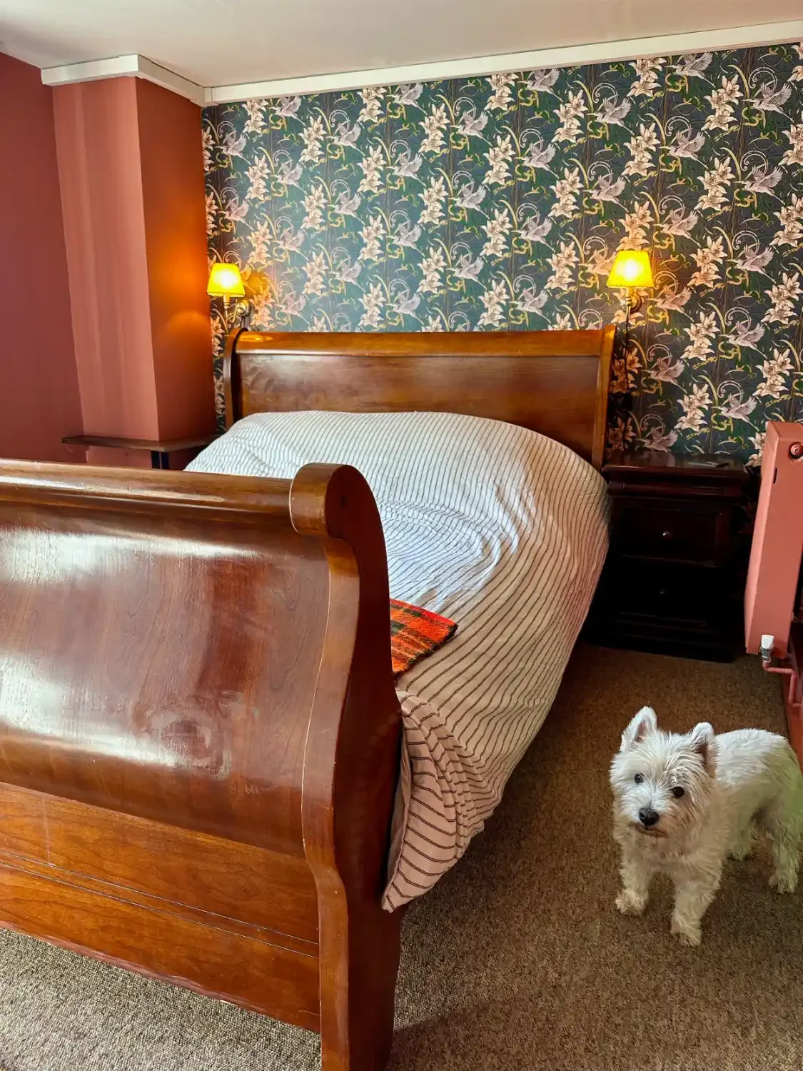 Best Dorset cottages for dog walking