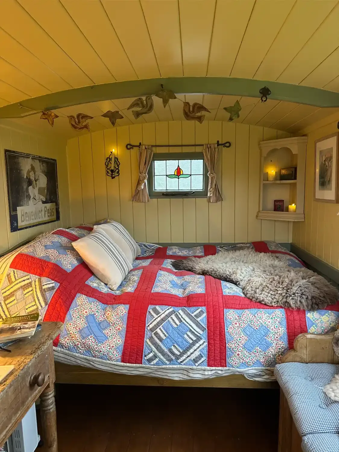 Hot tub dog friendly