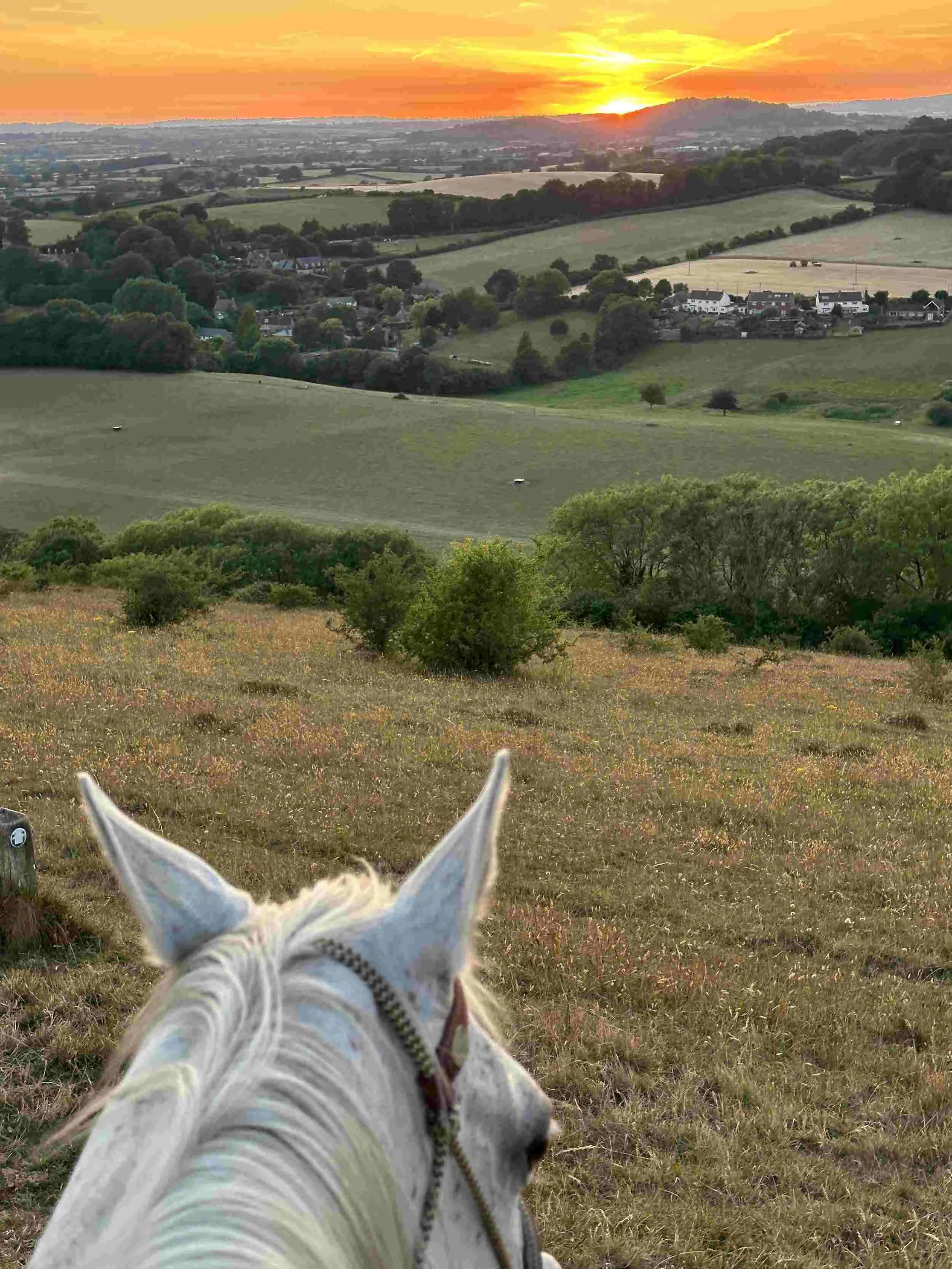 Walking holiday Dorset