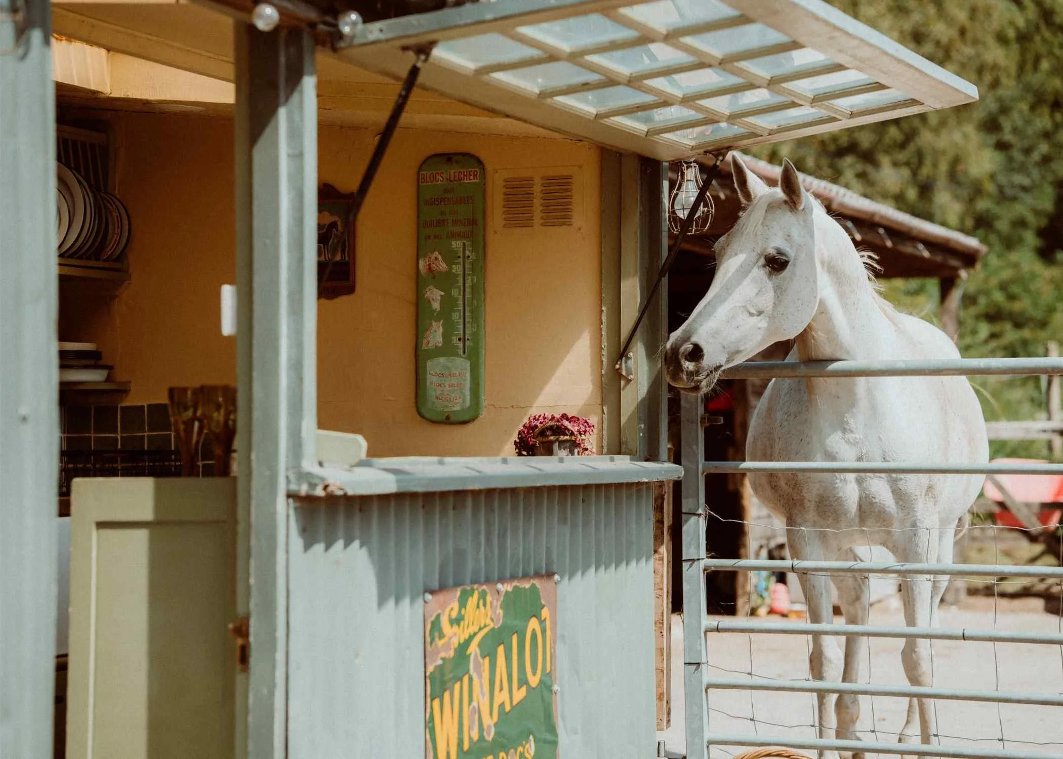Glamping with horses