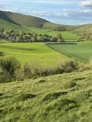 Glamping Dorset Walking