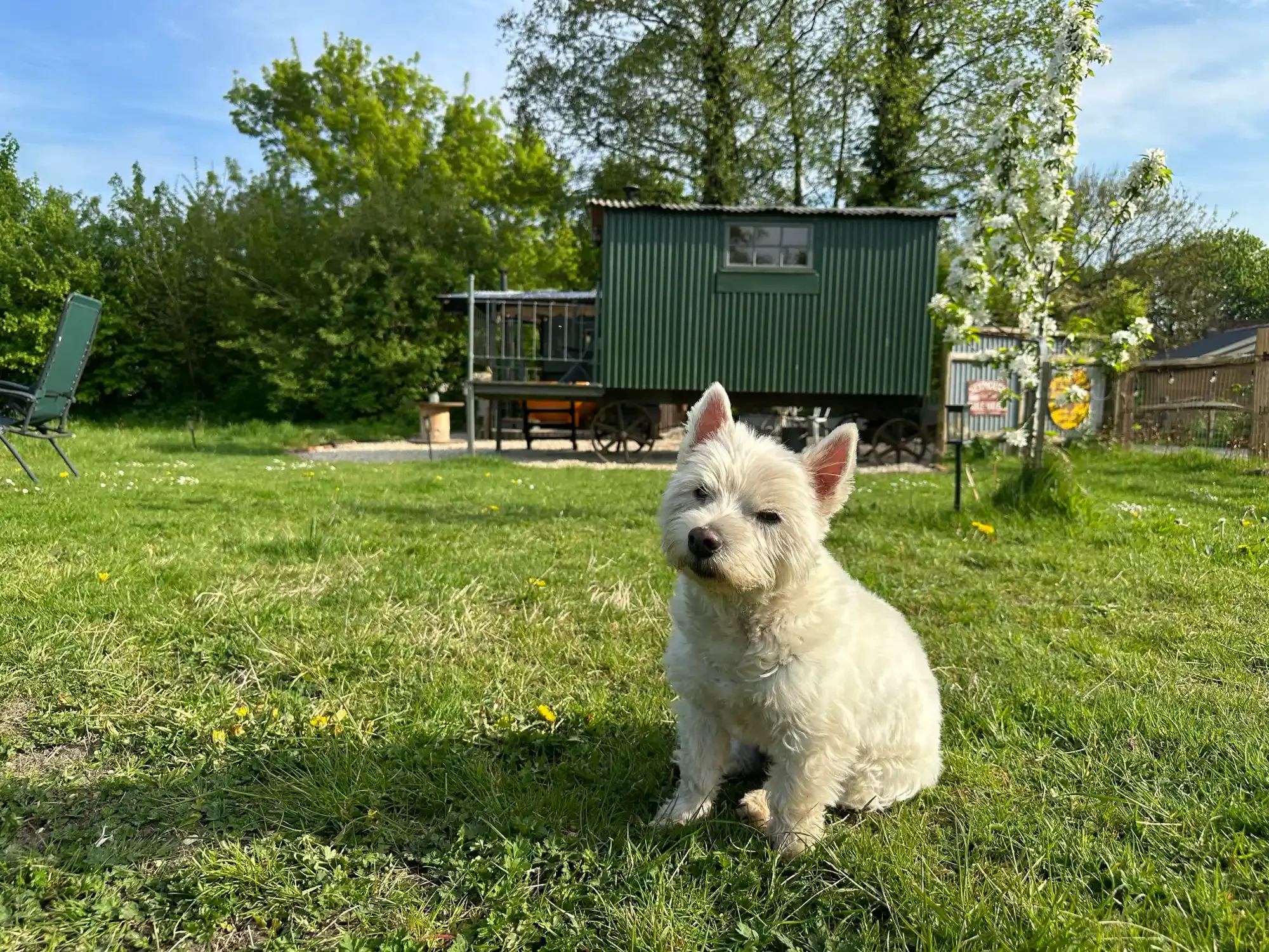 Dog friendly glamping cottage