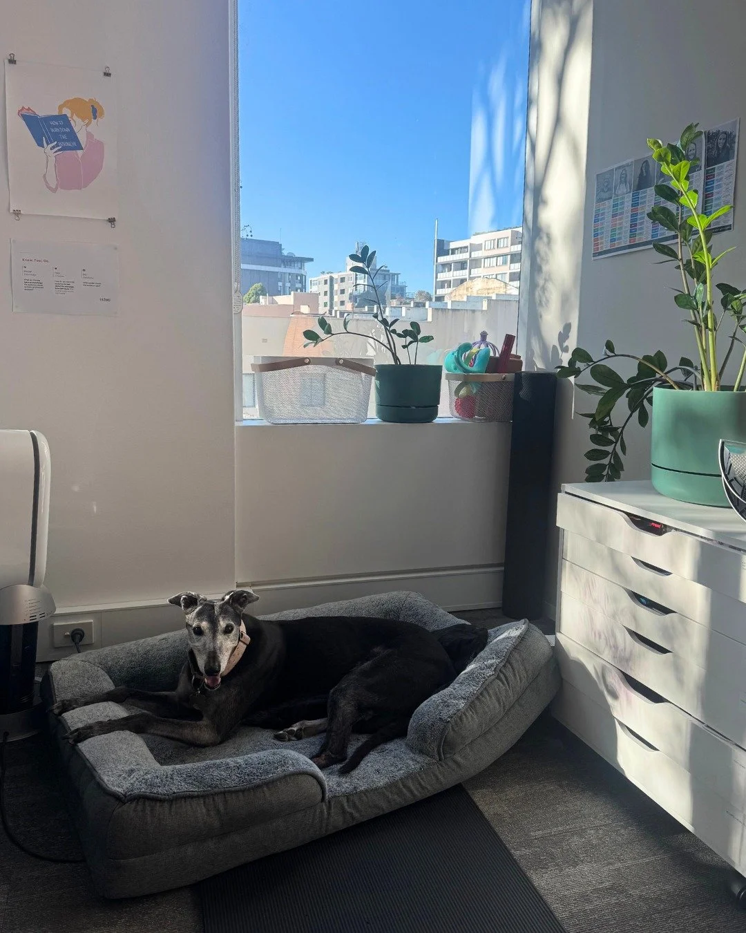 We finally figured out what our org chart was missing: a team mascot 😍

Introducing Audrey, Inkfield's newest team member 🥰

So far, she's been killing her job description:
🐶 Giving excellent office cuddles
😴 Sleeping all day
🫂 Providing moral s