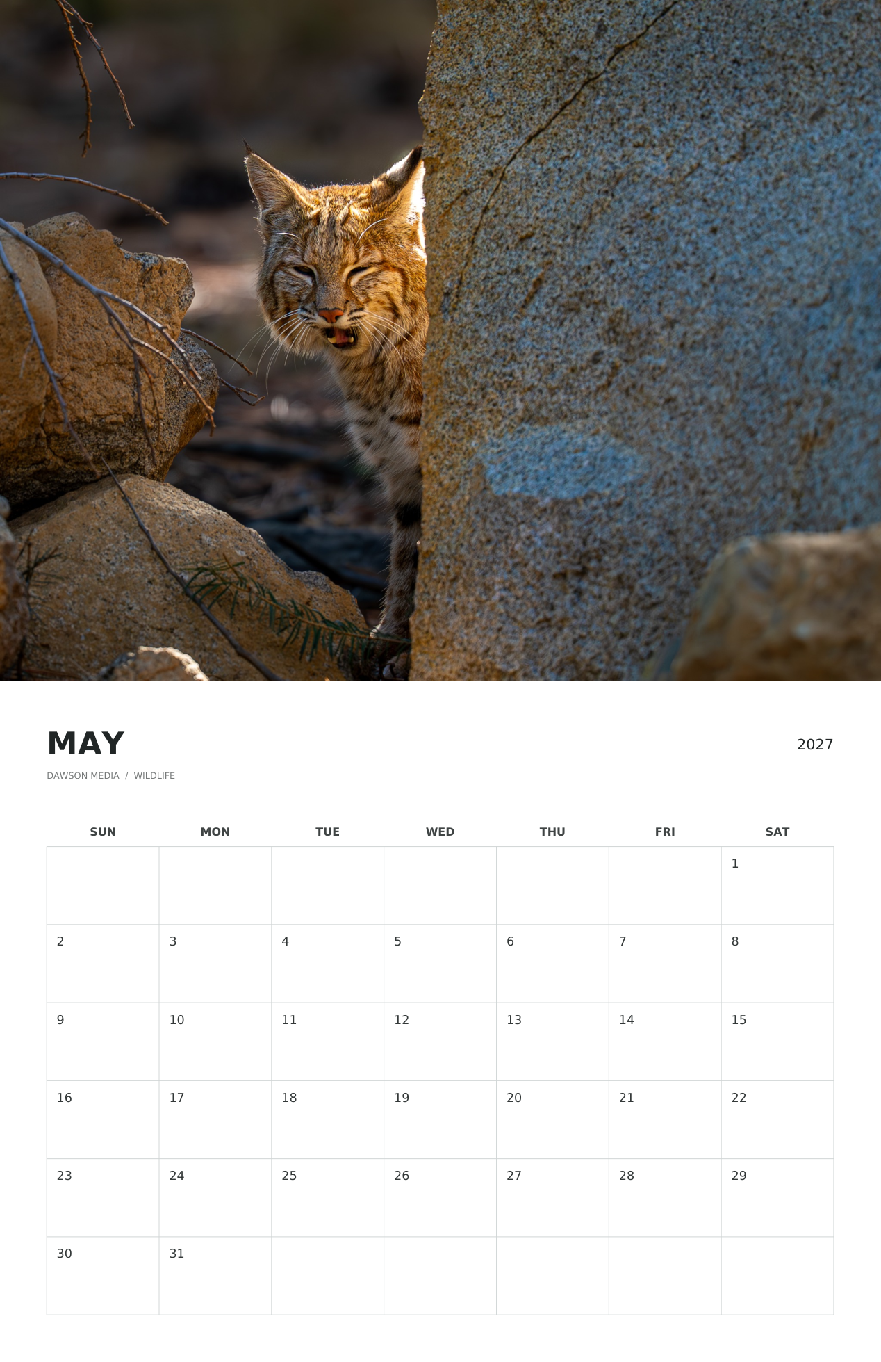 May 2027 calendar preview featuring a Lake Tahoe bobcat