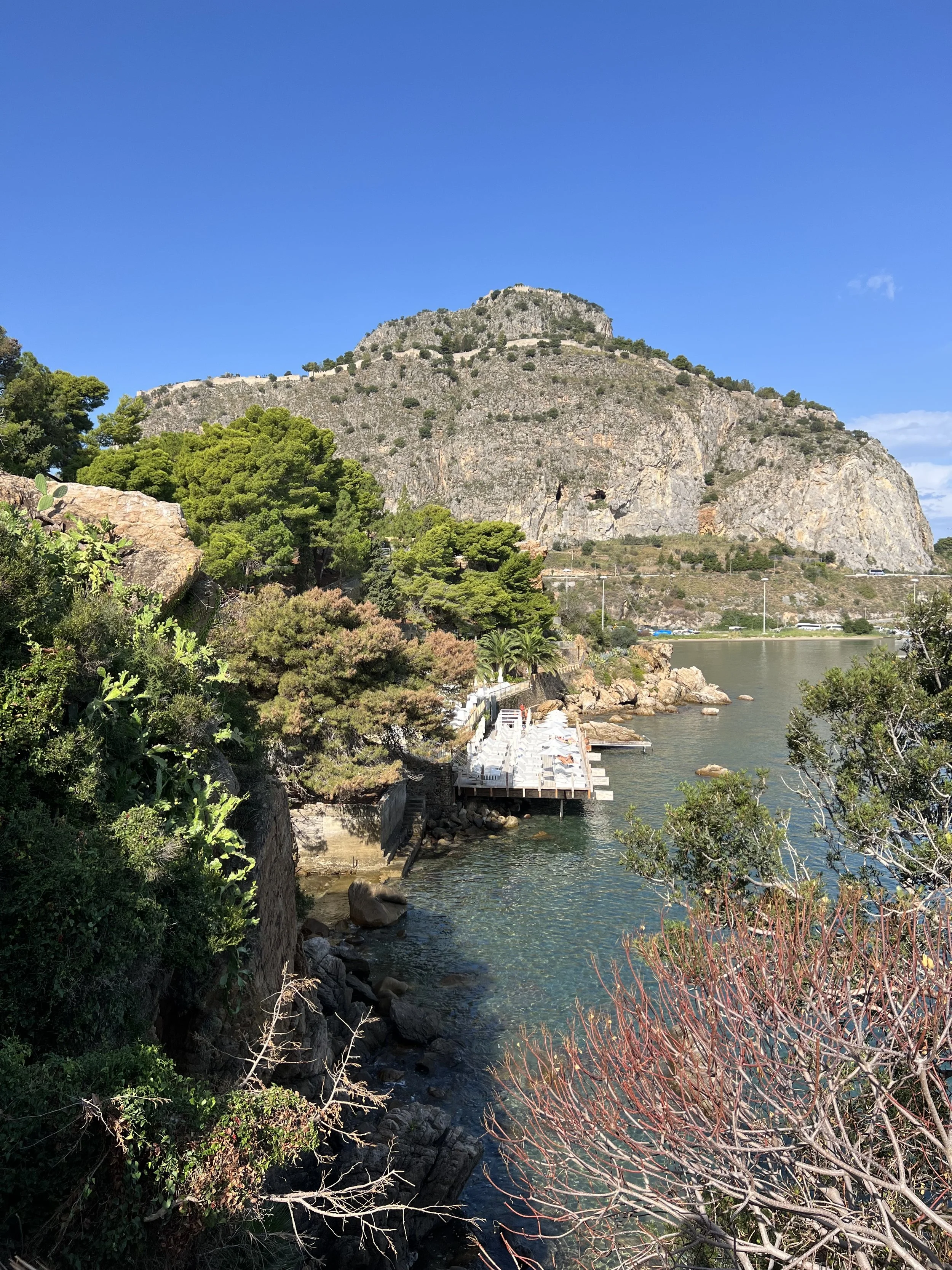 IMG_2428.jpeg