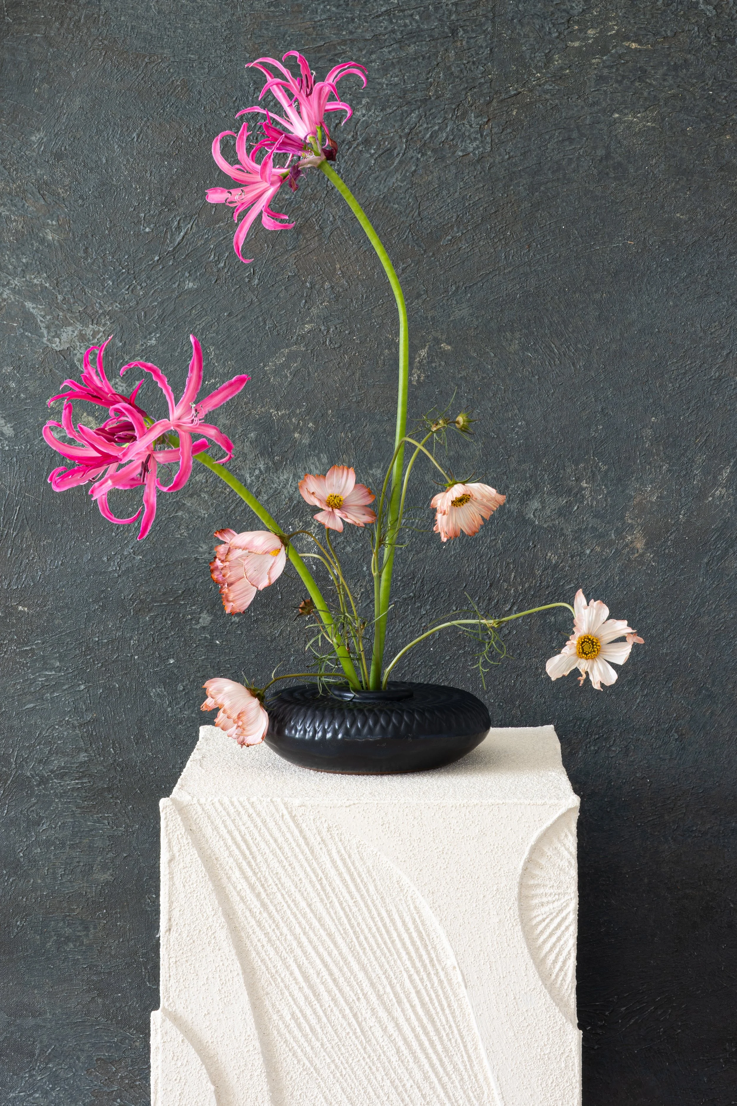 Caitlin Manning Photography - Rococo-15.jpg