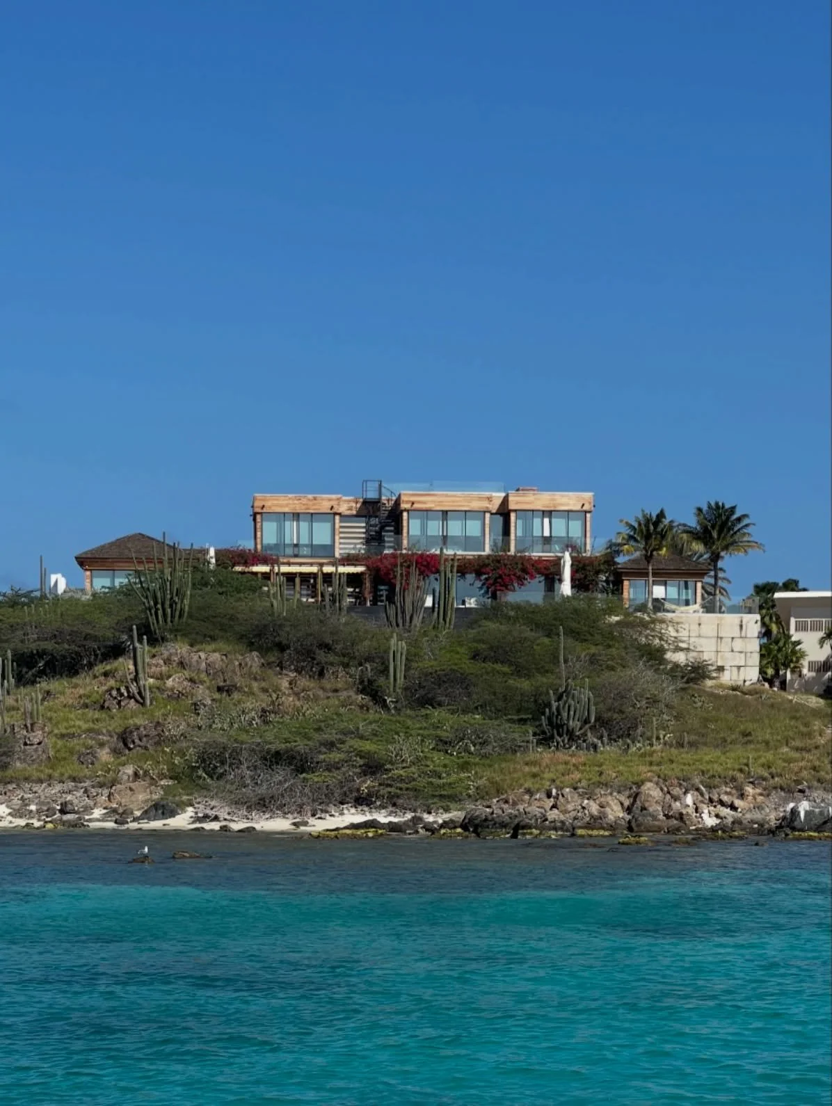 The Beverly Hills of Aruba 🌵🌴🐠

#snorkeling #beverlyhills #seasidecactus #seascape #islandtime