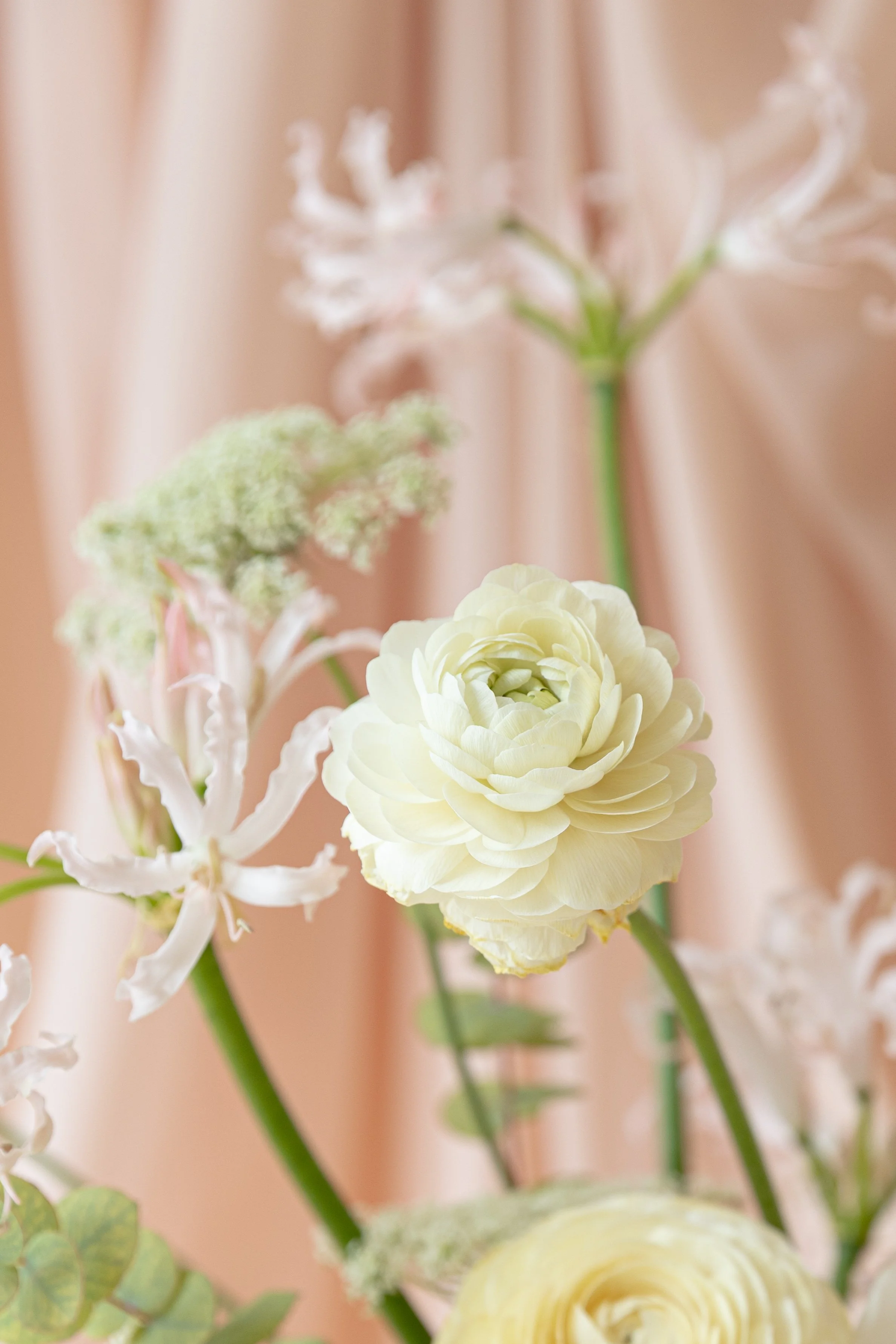 Caitlin Manning Photography - Rococo Floral Studio-2.jpg