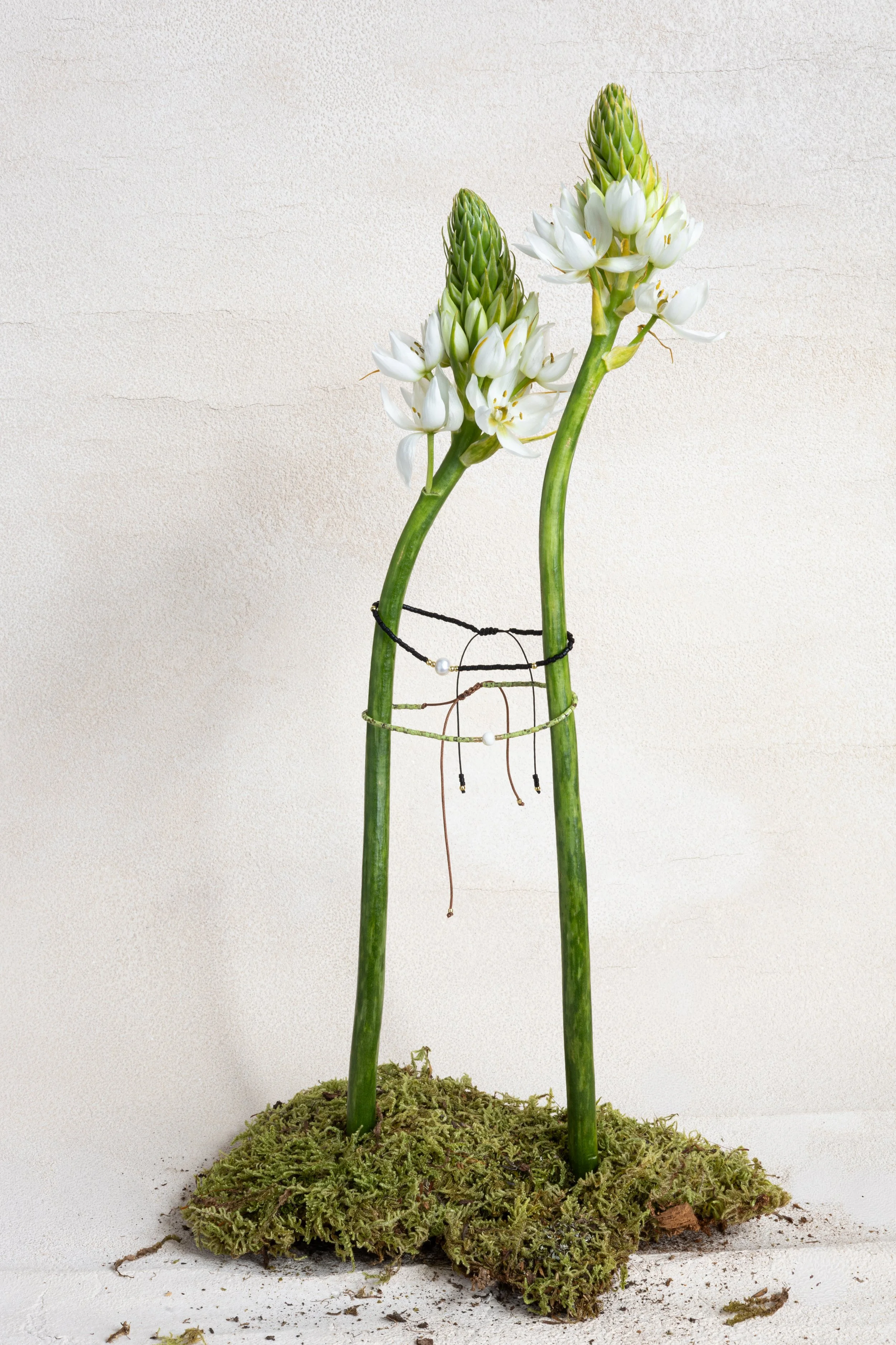 Caitlin Manning_PinkRanunculusAruba-7.jpg