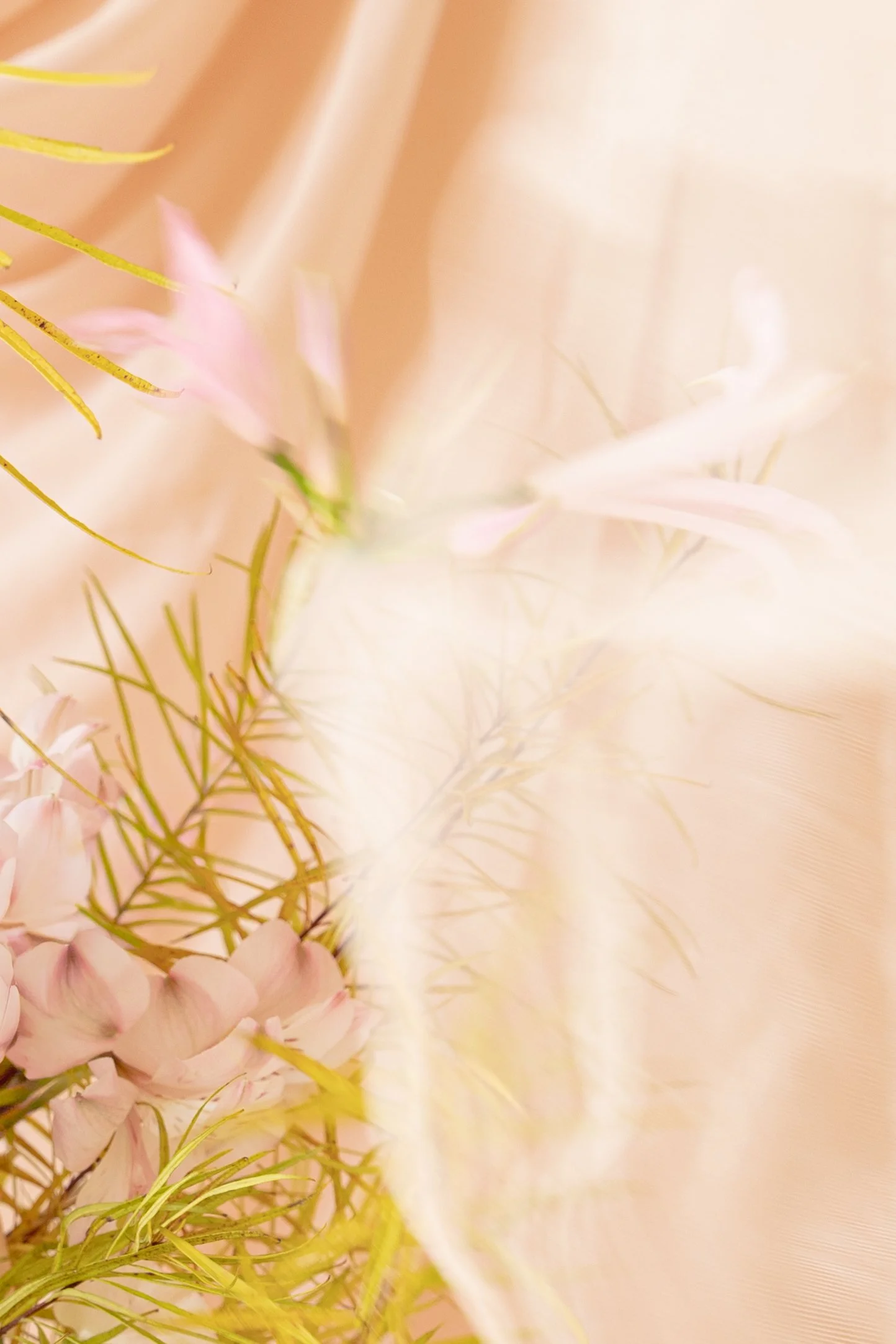 Caitlin Manning Photography - Rococo Floral Studio-20.jpg