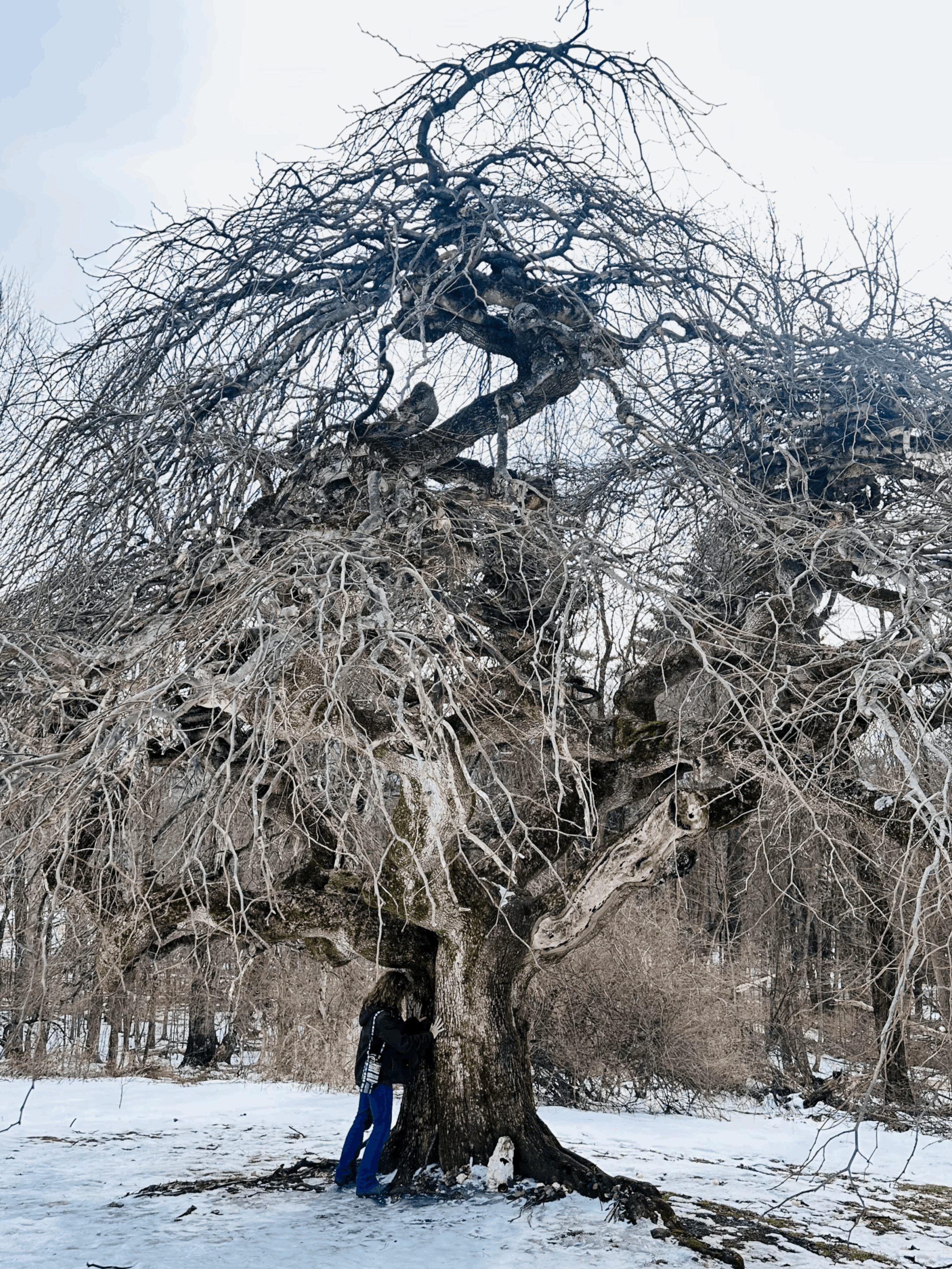 Imbolc &amp; The Snow Moon Circle