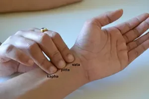 A person's hand with several lines labeled with terms such as 'kapha,' 'pitta,' and 'vata,' indicating a palmistry or Ayurveda diagram.