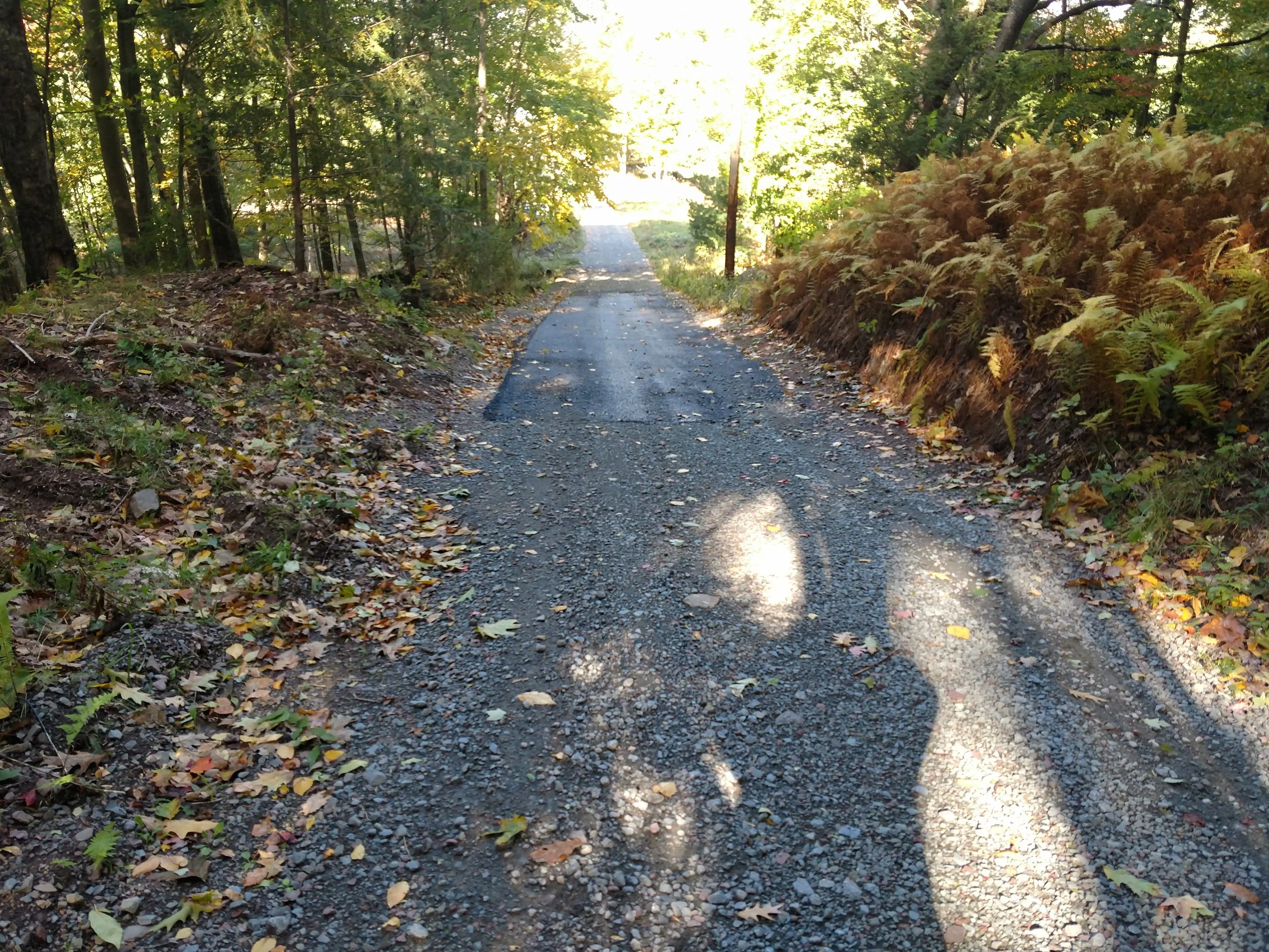 A narrow dirt and gravel road surrounded by trees with sunlight shining through, casting shadows on the ground.