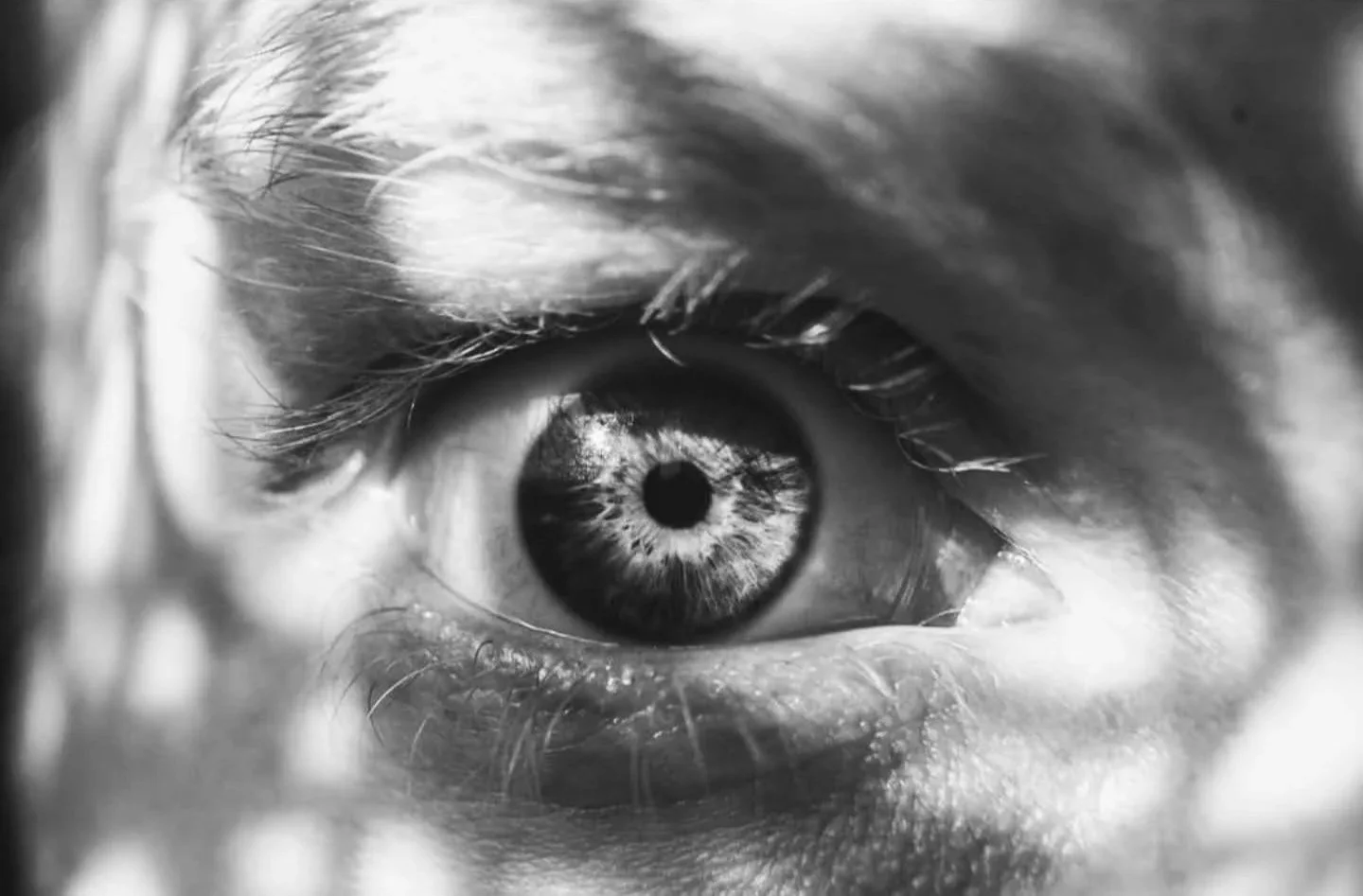Close-up black and white photograph of a human eye, showing detailed iris, eyelashes, and eyebrow.