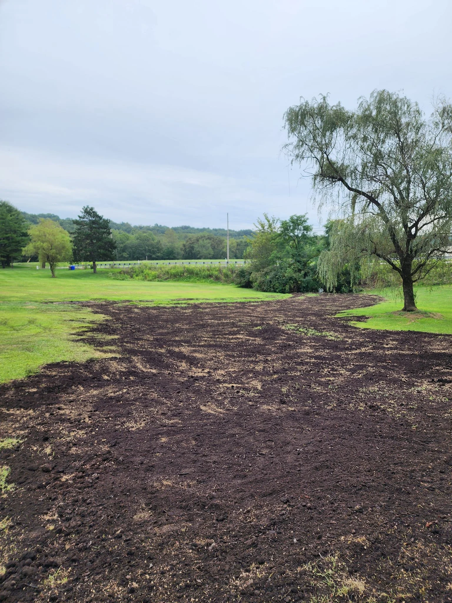 Multi French drain install covered and intergrated with landscape.jpg