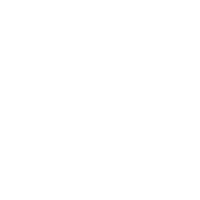 Audet Physio