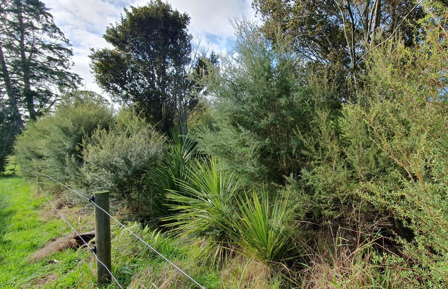 20250531_Lot 10 boundary website.jpg